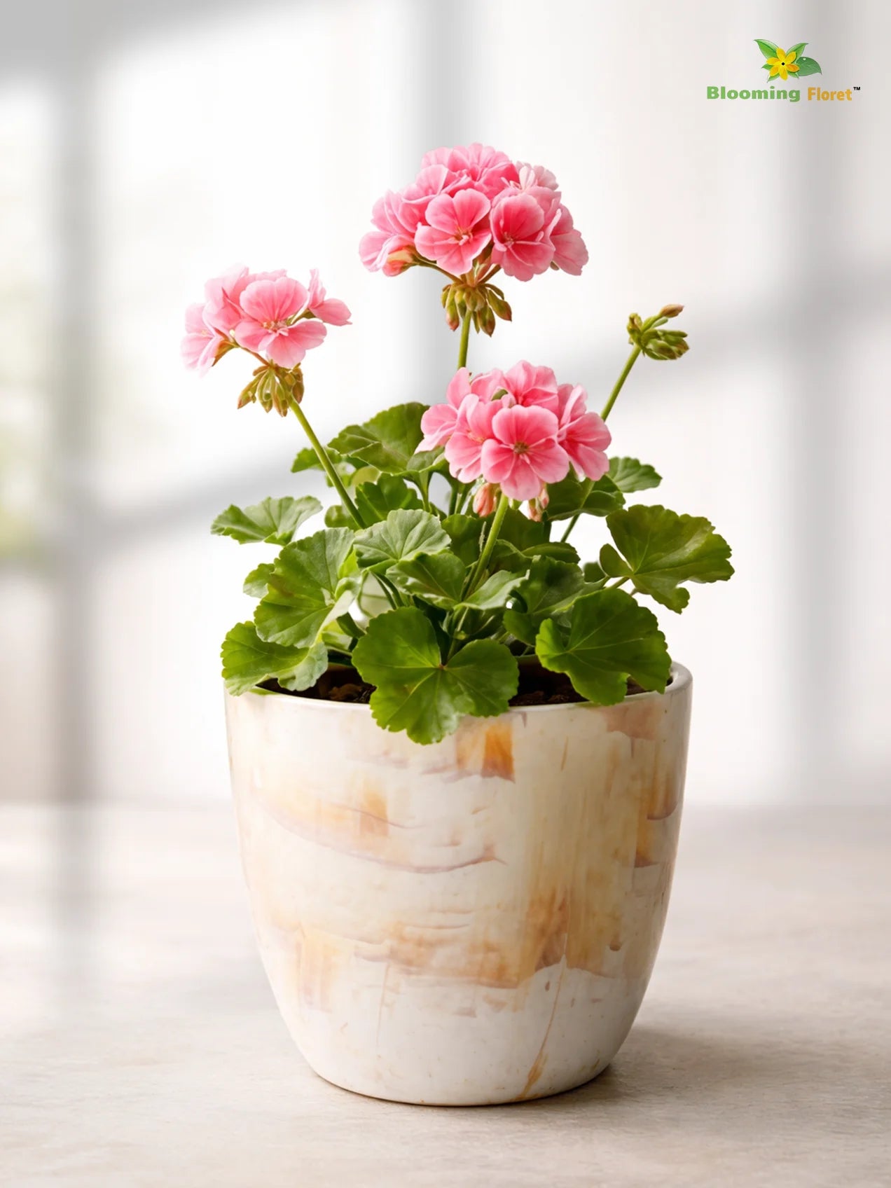 Vivid Tie-Dye Planter | Beige | 12 cm