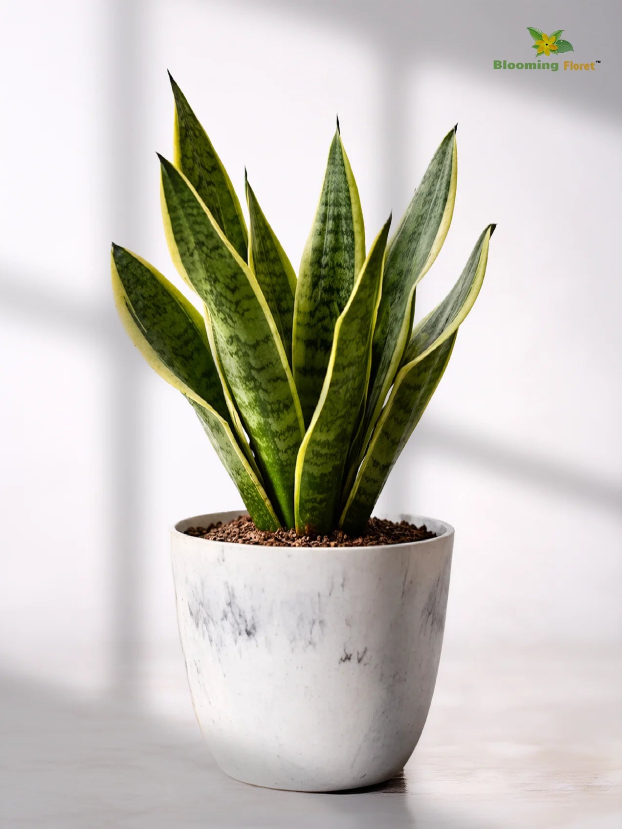 Vivid Tie-Dye Planter | Blue | 12 cm