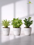 Vivid Tie-Dye Planter | Blue | 12 cm | Set of 3