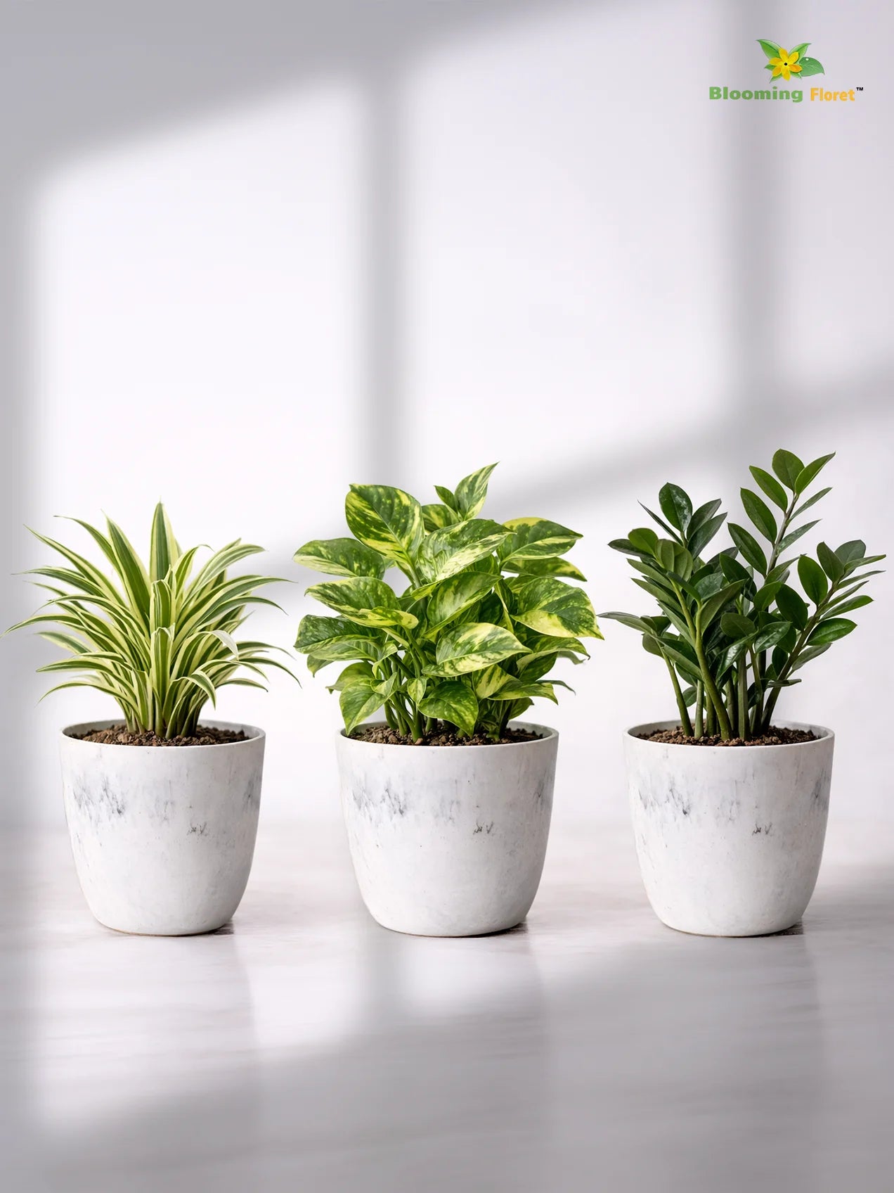 Vivid Tie-Dye Planter | Blue | 12 cm | Set of 3