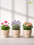 Vivid Tie-Dye Planter | Beige | 12 cm | Set of 3