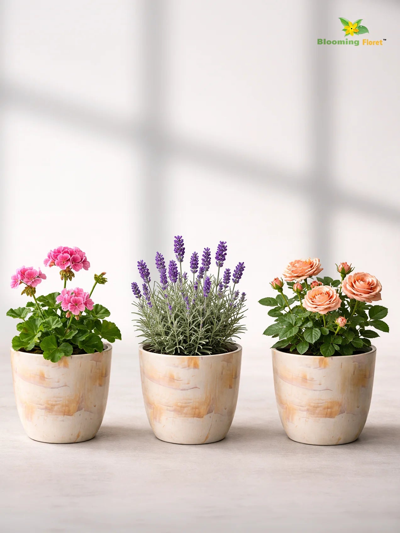 Vivid Tie-Dye Planter | Beige | 12 cm | Set of 3