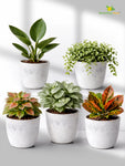 Vivid Tie-Dye Planter | Blue | 12 cm | Set of 5
