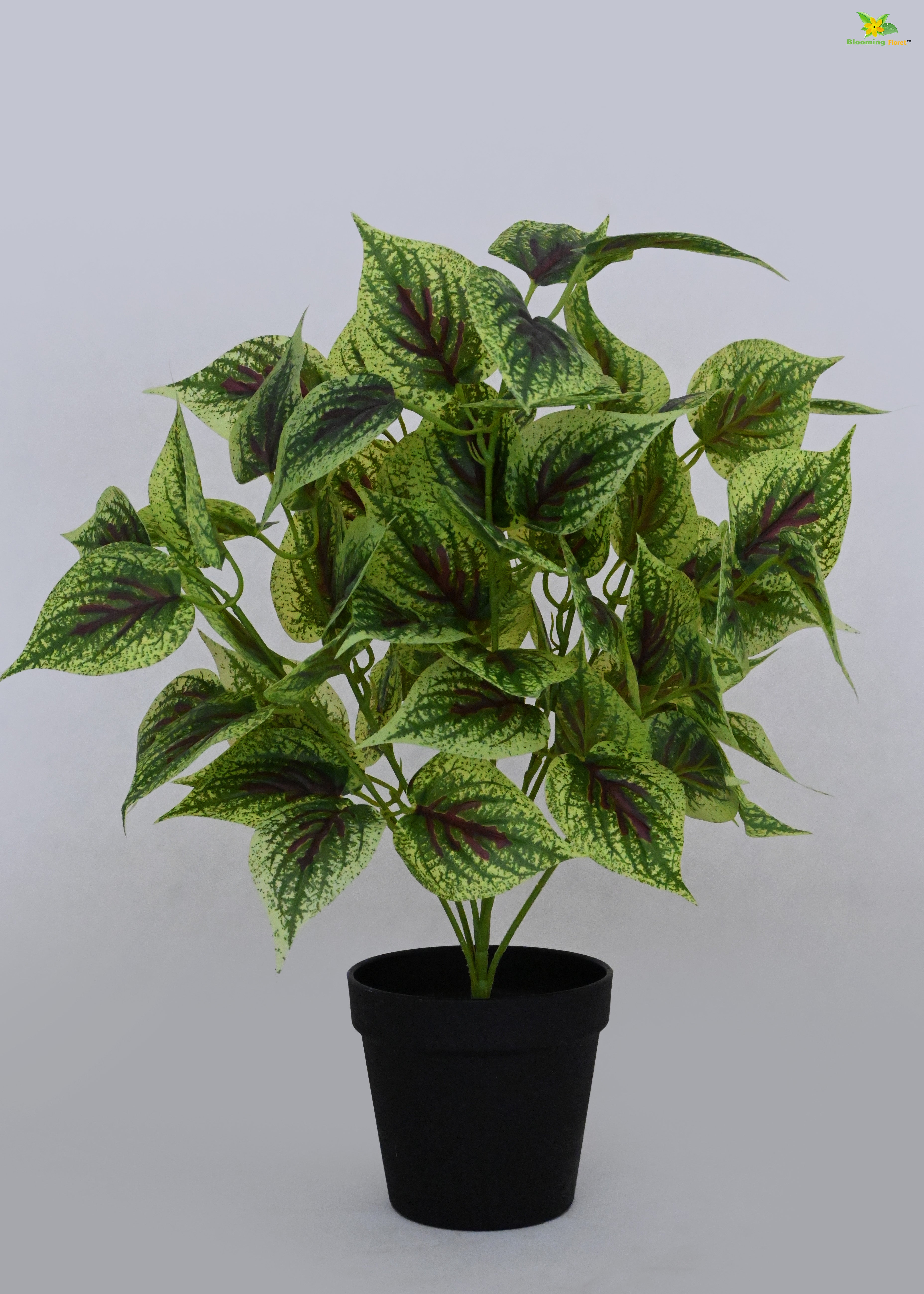 Artificial Dragon Heart Coleus Plant for Decor | with Basic Pot | 48.3 cm