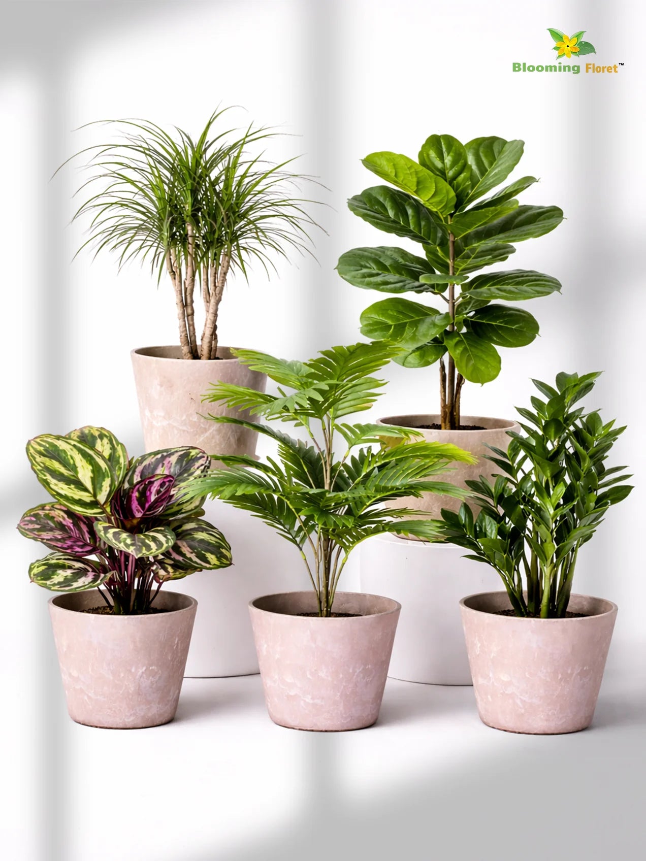 Modern Grace Poly Planter | Brown |15 cm | Set of 5