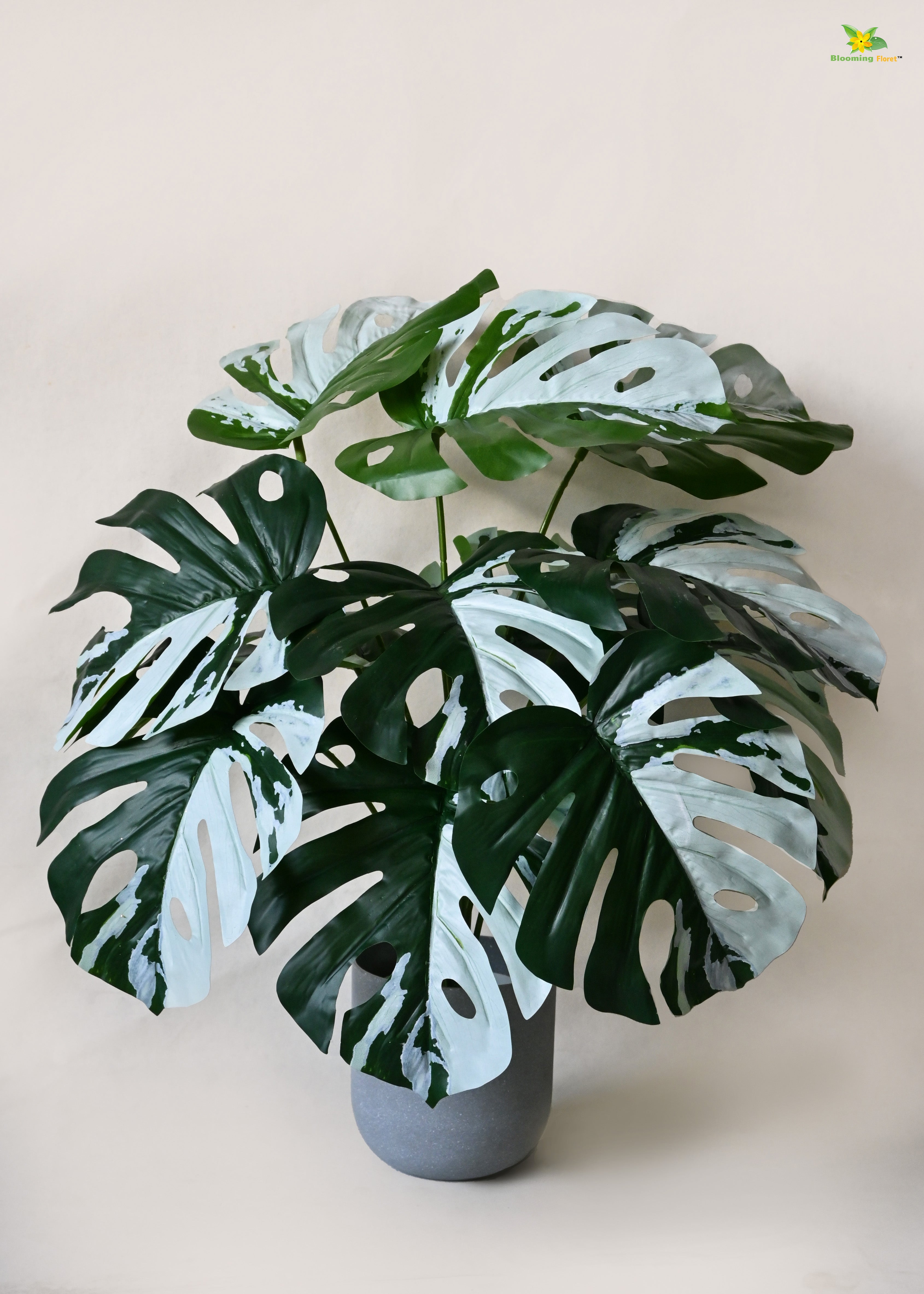 Artificial Monstera Plant for Decor | 12 Leaves with Basic Pot | 60.9 cm