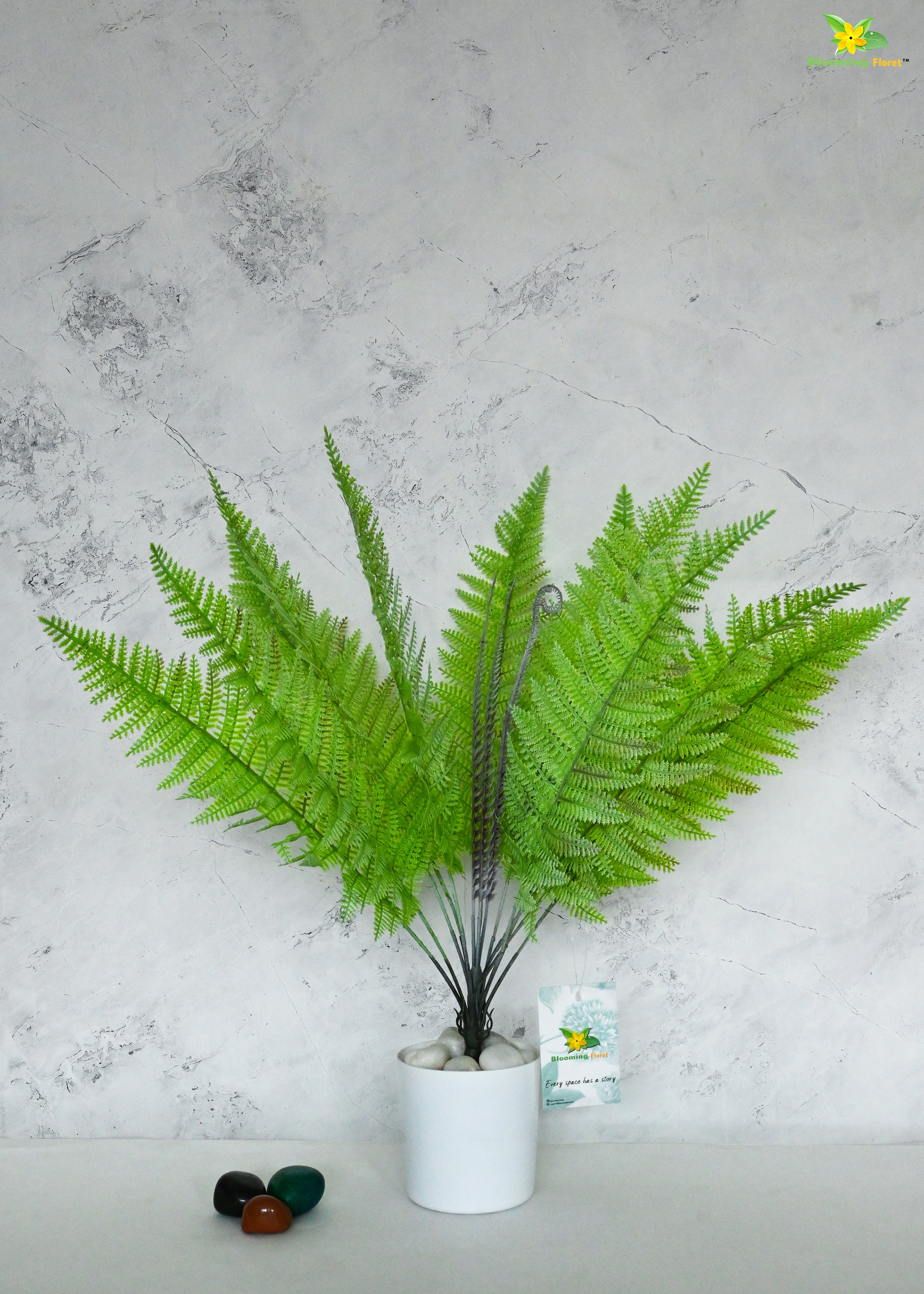 Evergreen Foliage Wood Fern Plant | Light Green