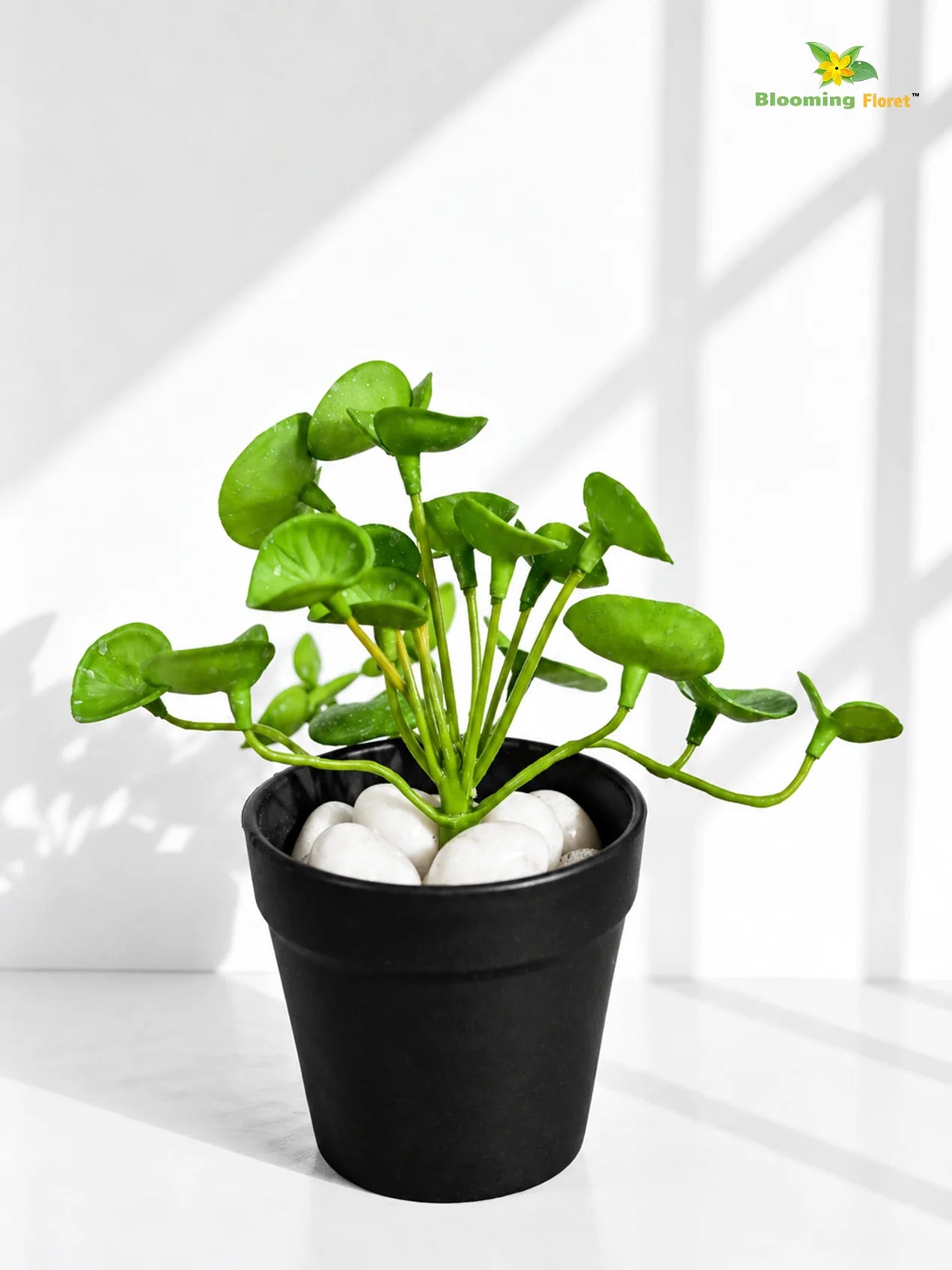 Lush Leaf Pennywort Artificial Succulent | Light Green & White Patterned | 14 cm