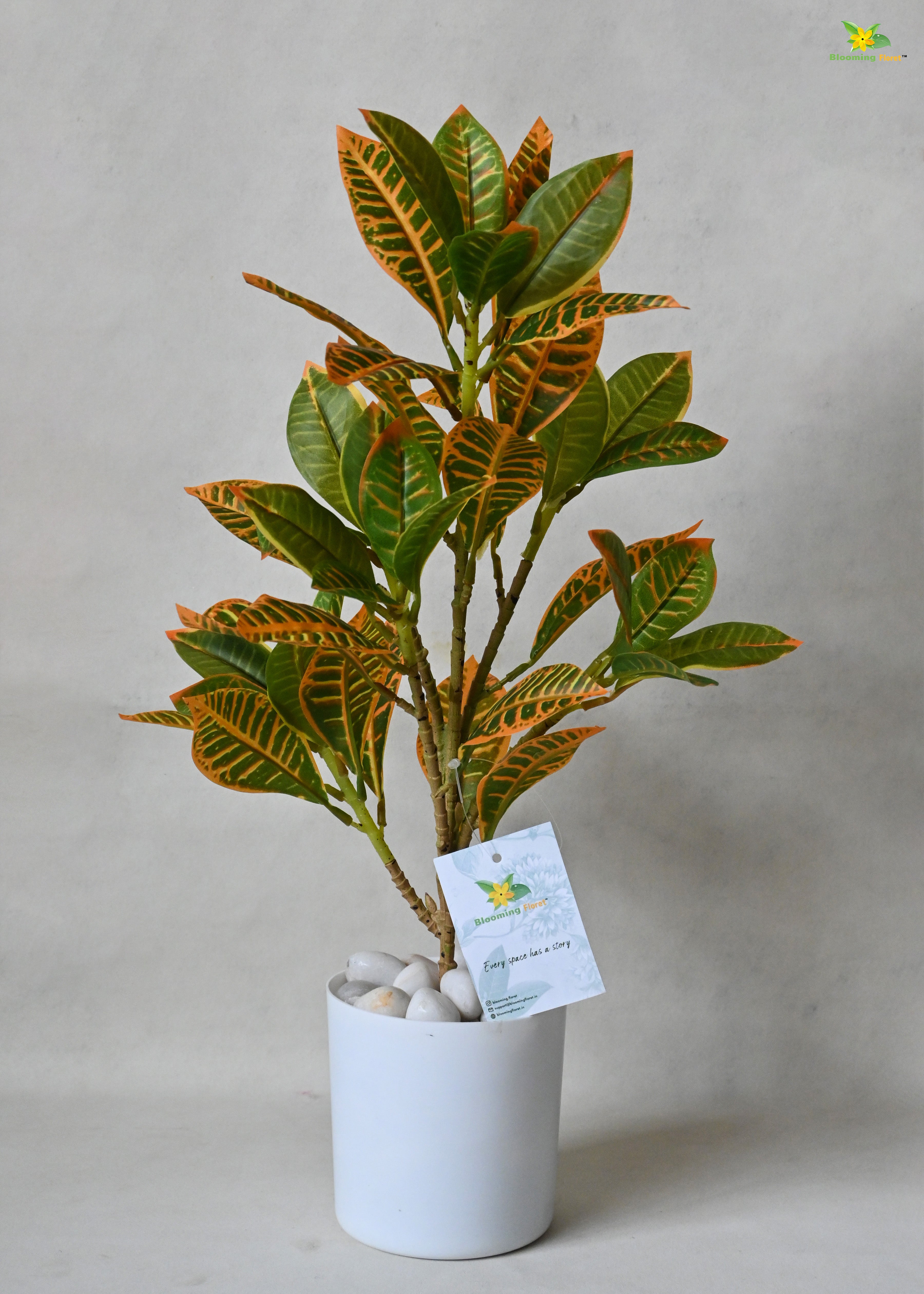 Artificial Croton Plant for Decor with Basic Pot | 45.7 cm