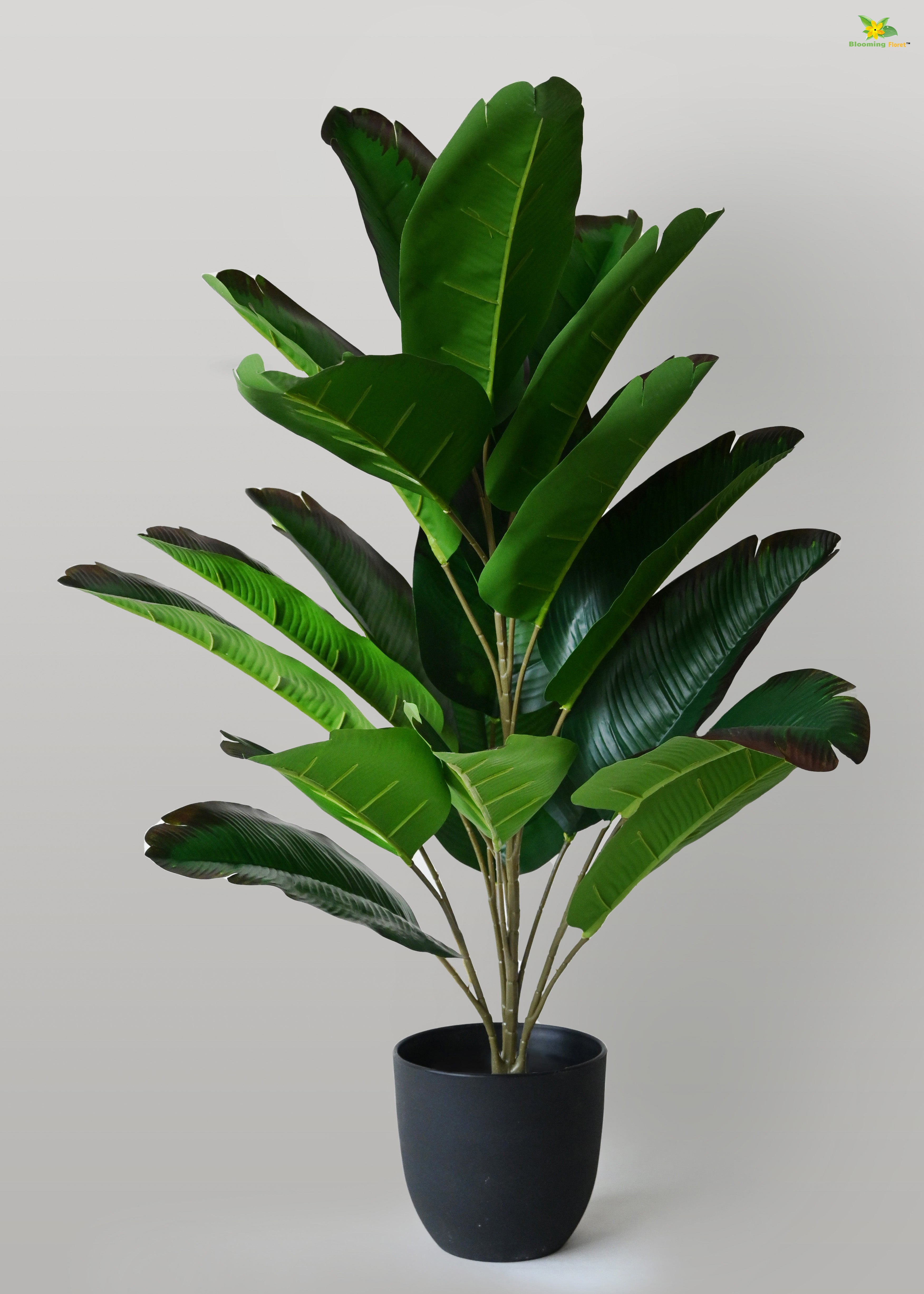 Artificial Birds of Paradise Plant for Decor | 21 Leaves with Basic Pot | 78.7 cm