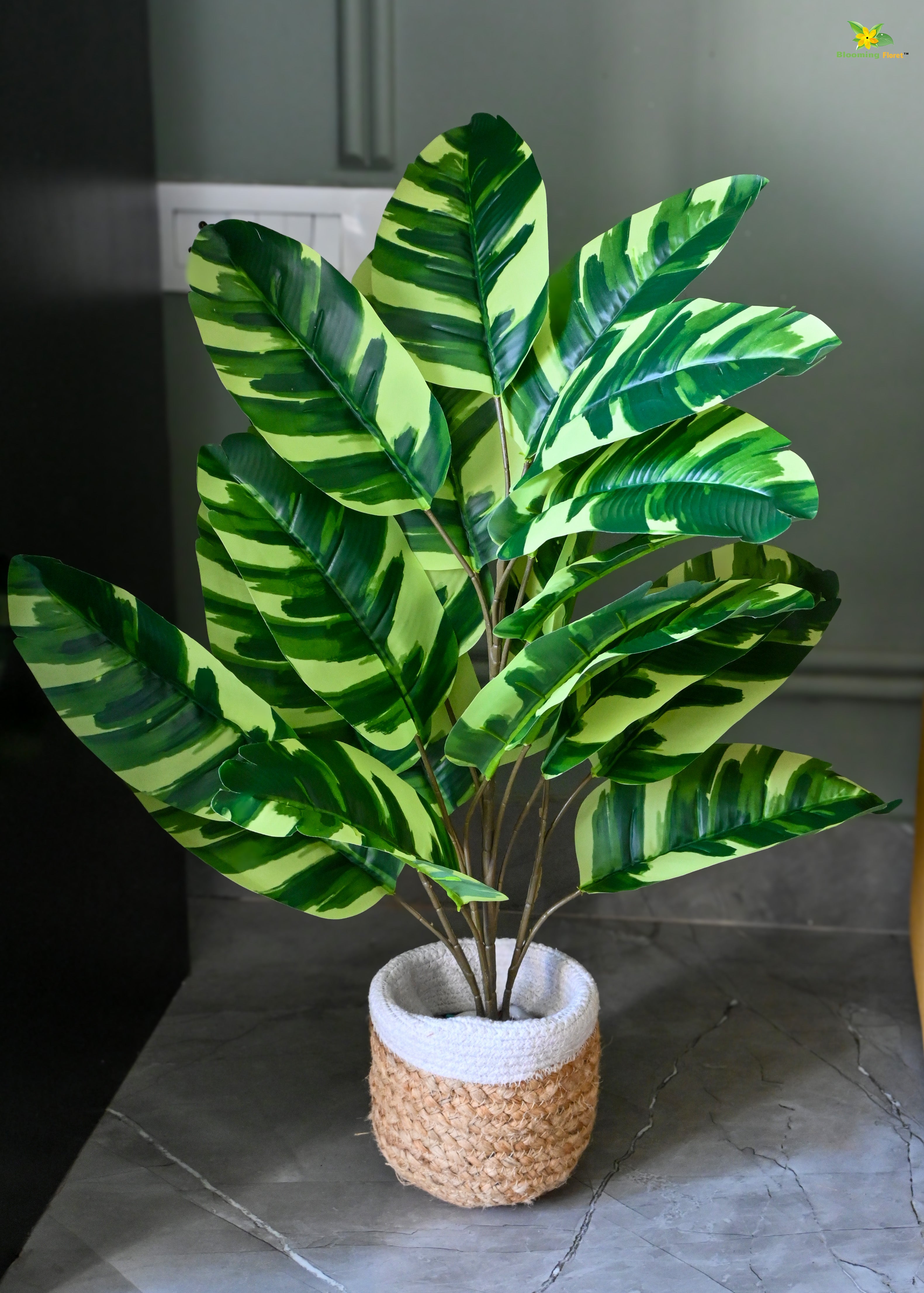 Artificial Calathea Zebrina Plant for Decor | 21 Leaves with Basic Pot | 78.7 cm