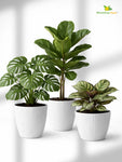 Elegant Ribbed Melamine Pot | White | 16 cm | Set of 3