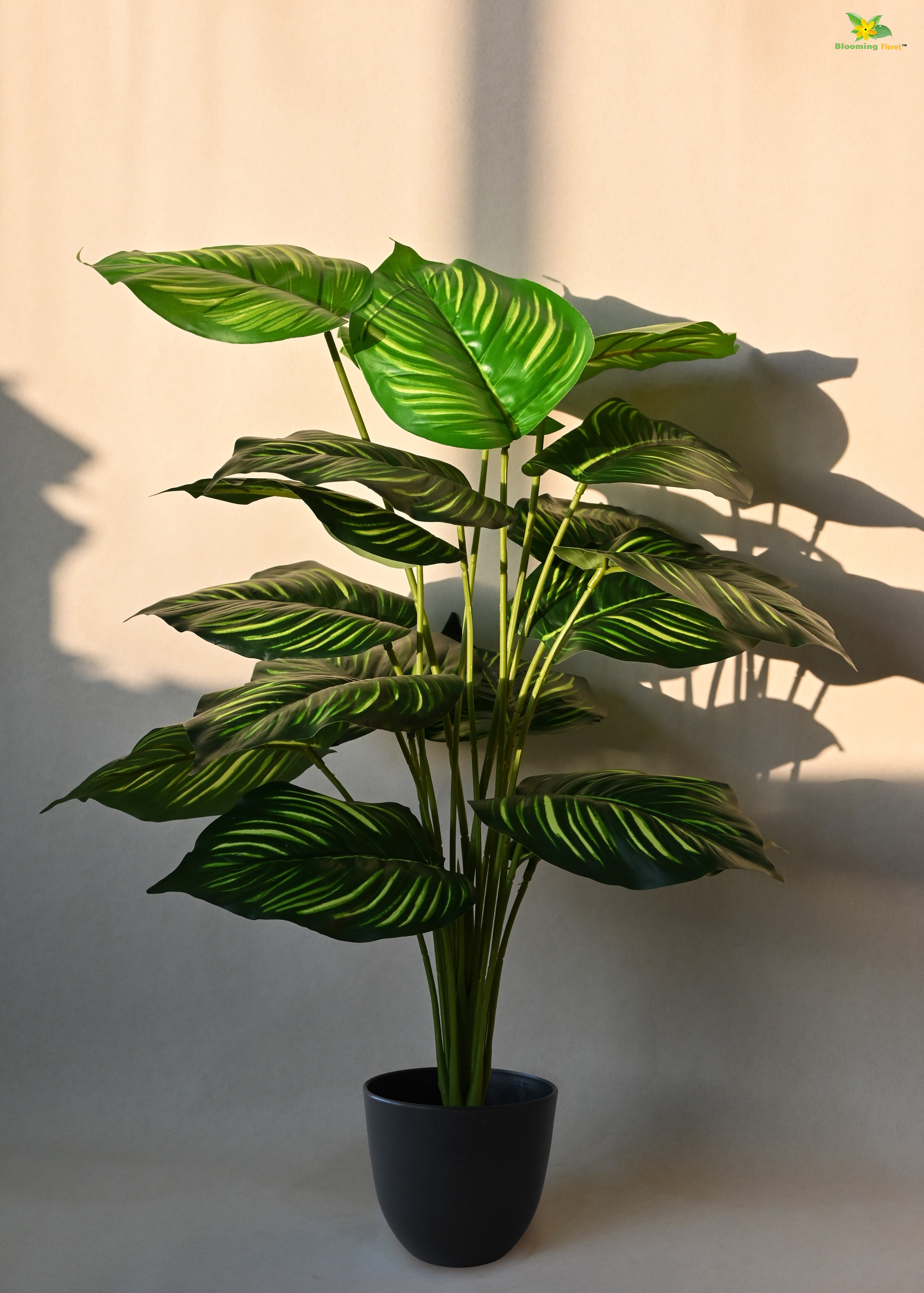 Artificial Calathea Orbifolia Plant for Decor 18 Leaves with Basic Pot | 63.5 cm