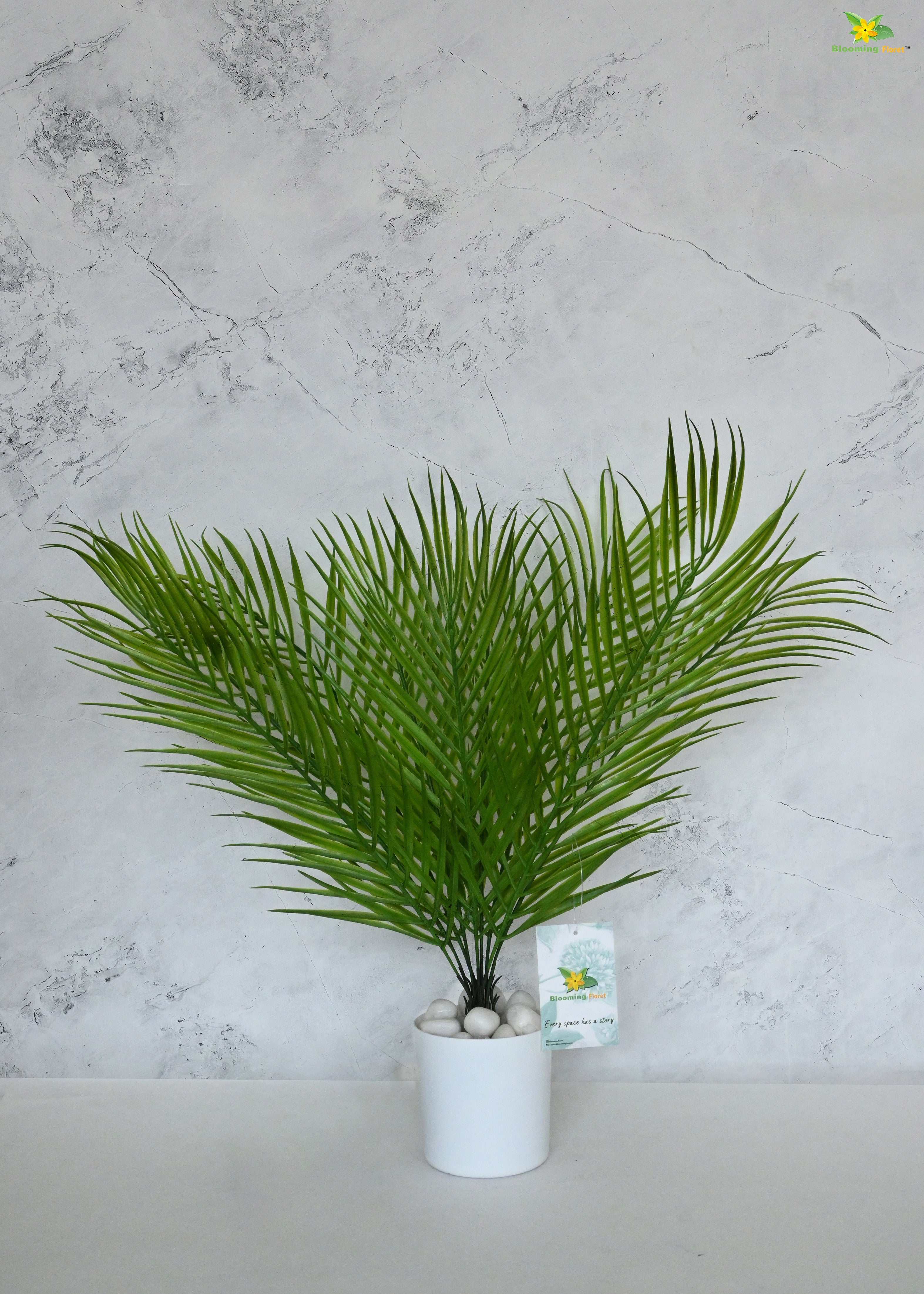 Eternal Zen Areca Palm Plant | Dark Green