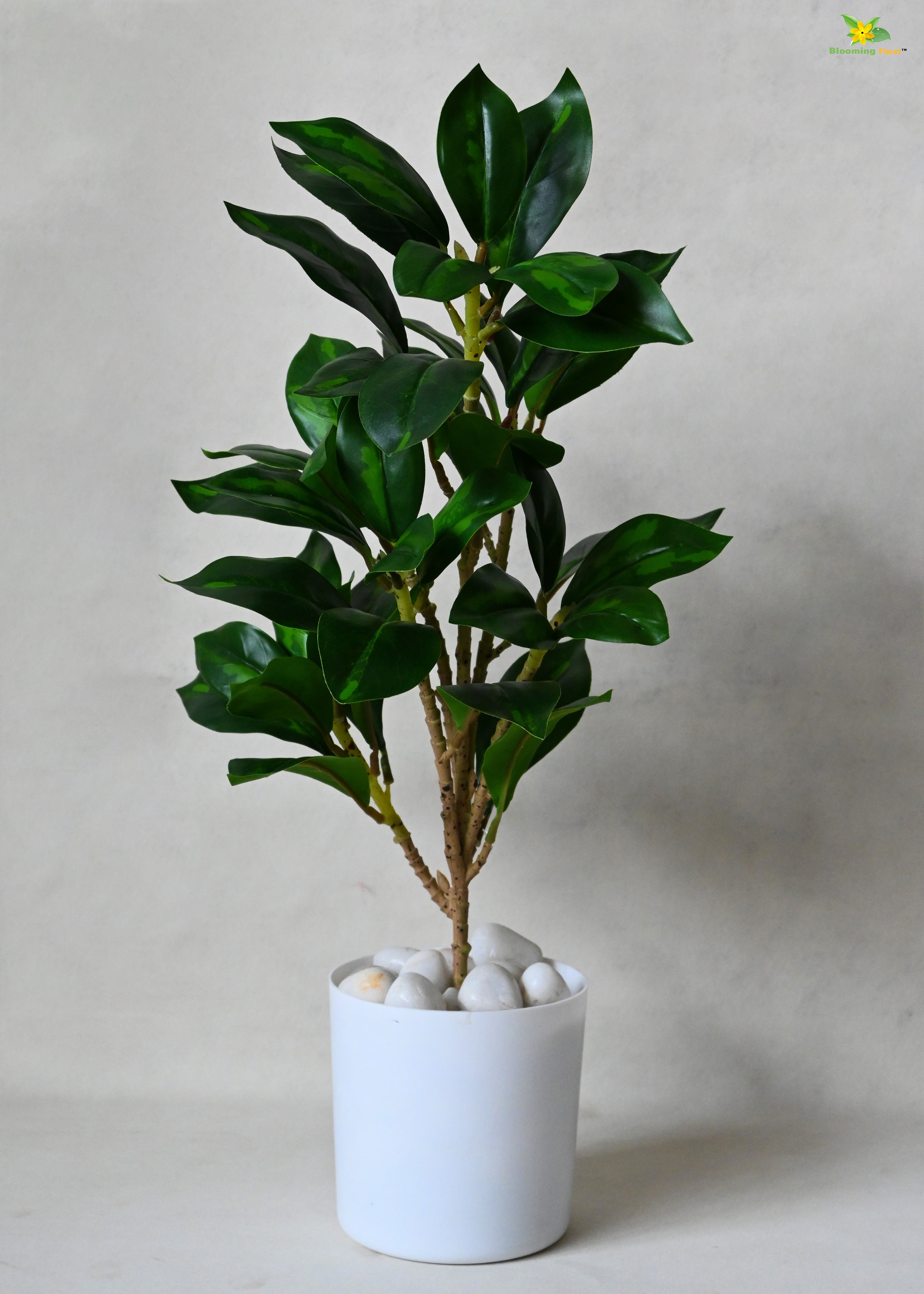 Artificial Zamioculcas Zamiifolia Plant for Decor with Basic Pot | 45.7 cm