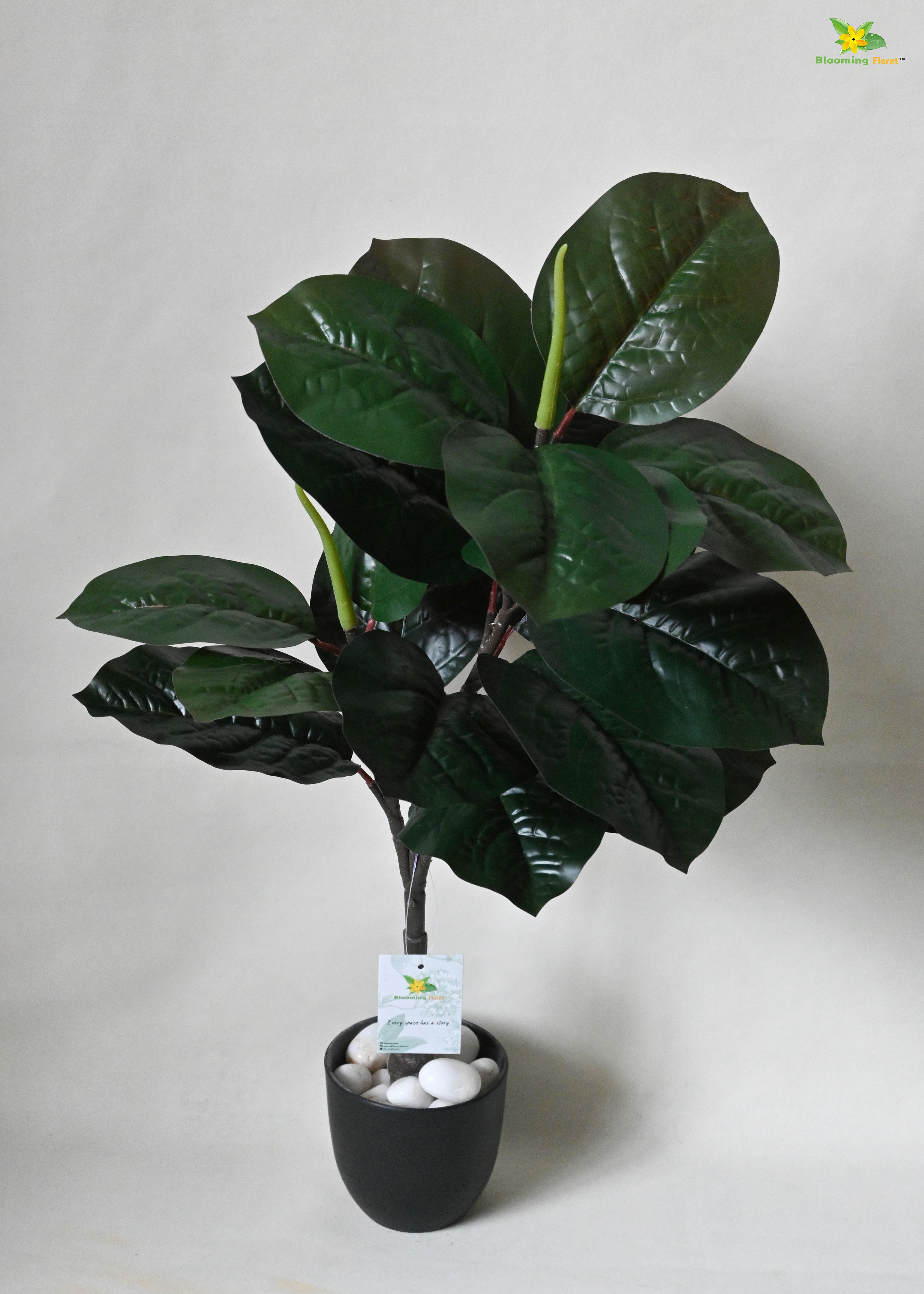 Artificial Wax Plant For Decor 18 Leaves with Basic Pot | 71.1 cm