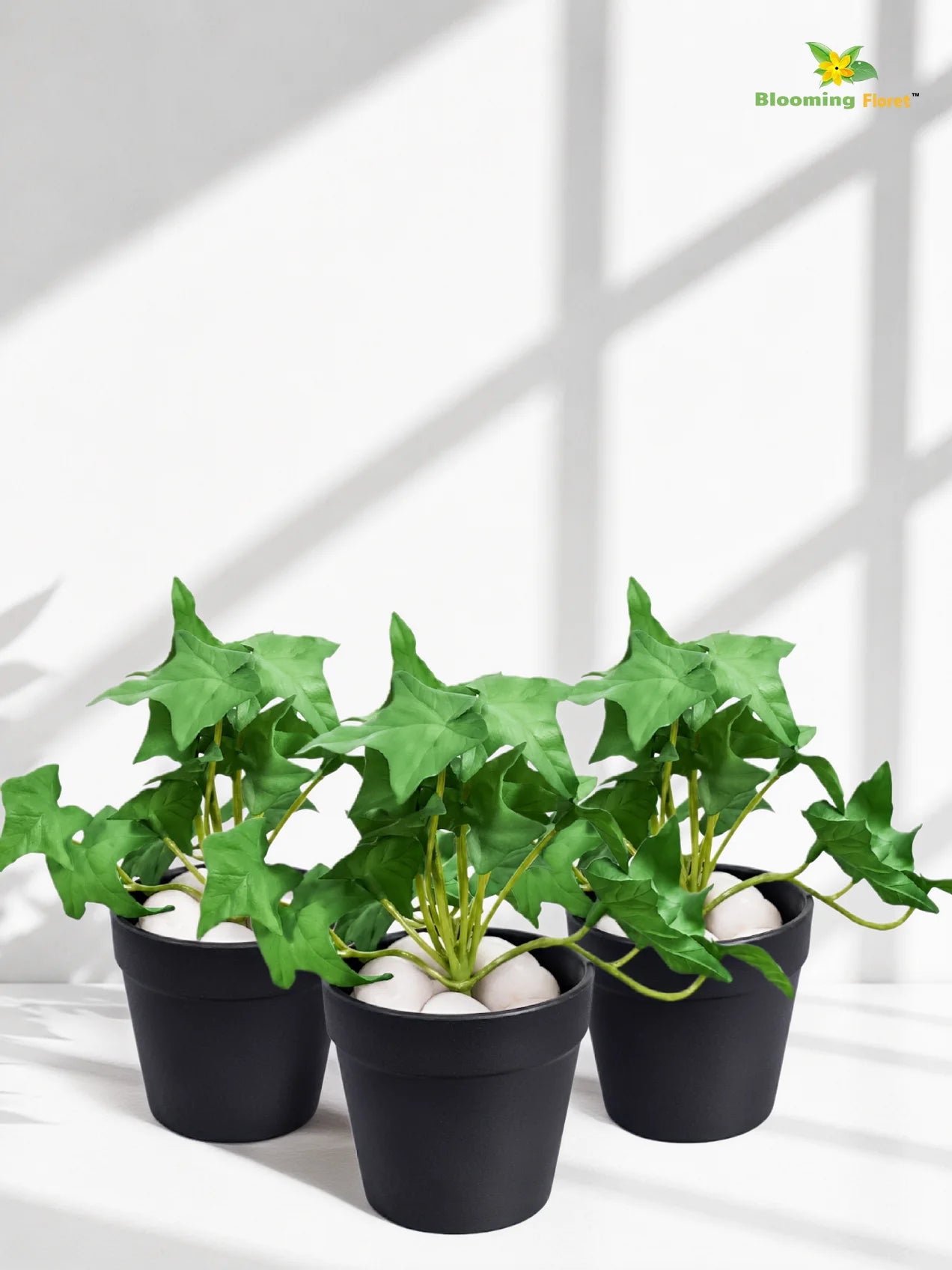 Artificial Ivy Succulent | Green | Small Leaves | 10 cm | Set of 3