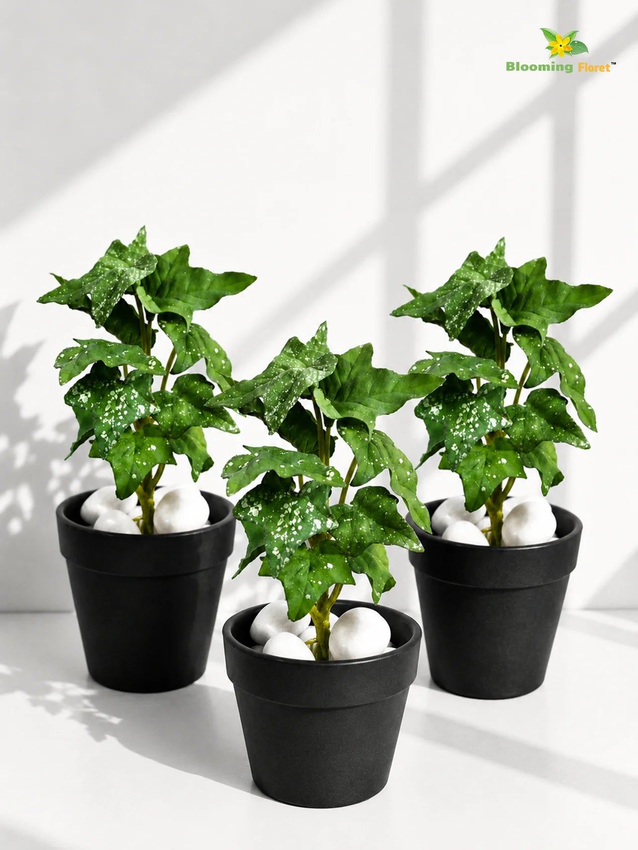 Artificial Ivy Succulent | Green | 16 cm | Set of 3