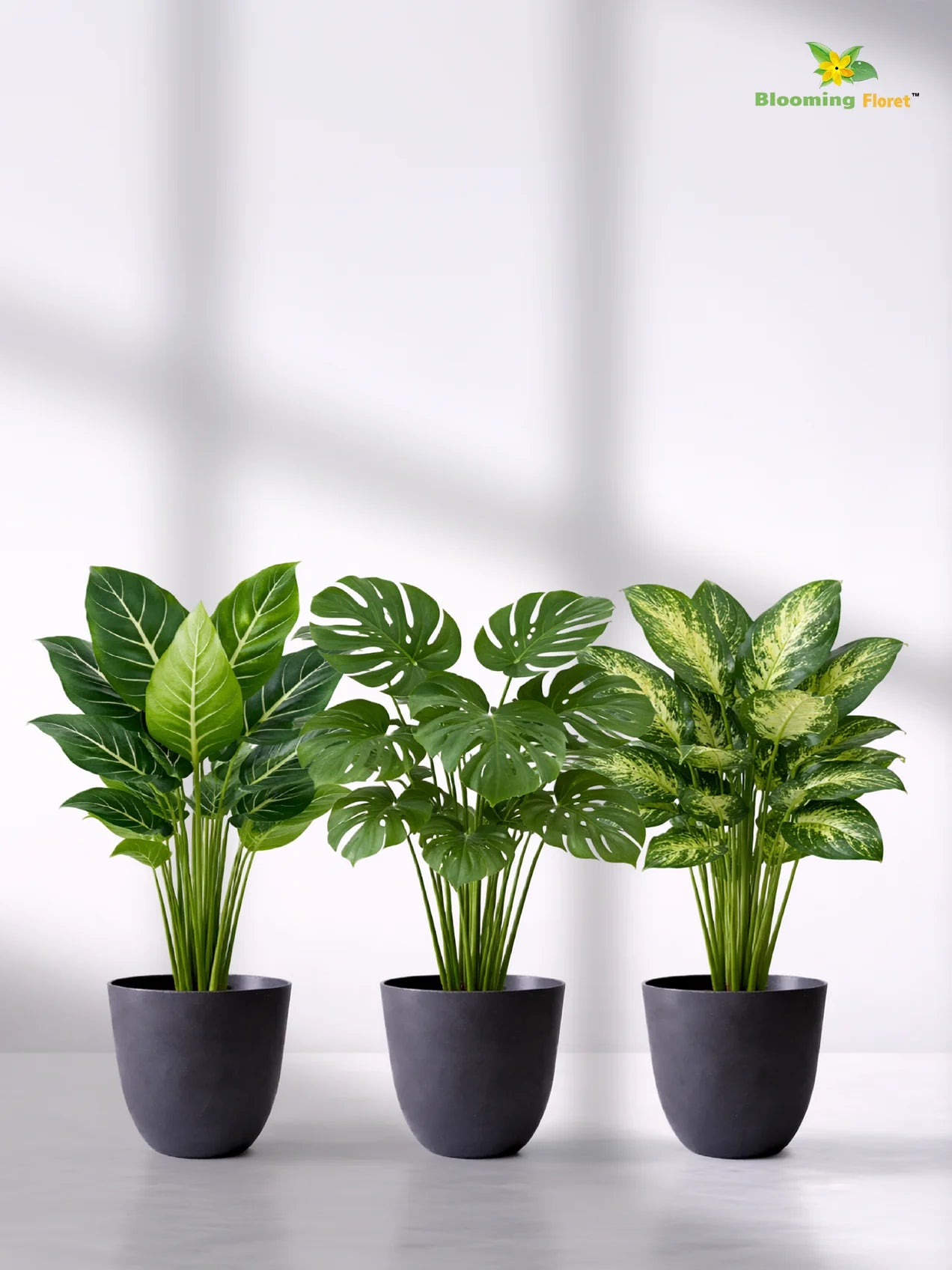 Black Round Planter | 17 cm | Set of 3