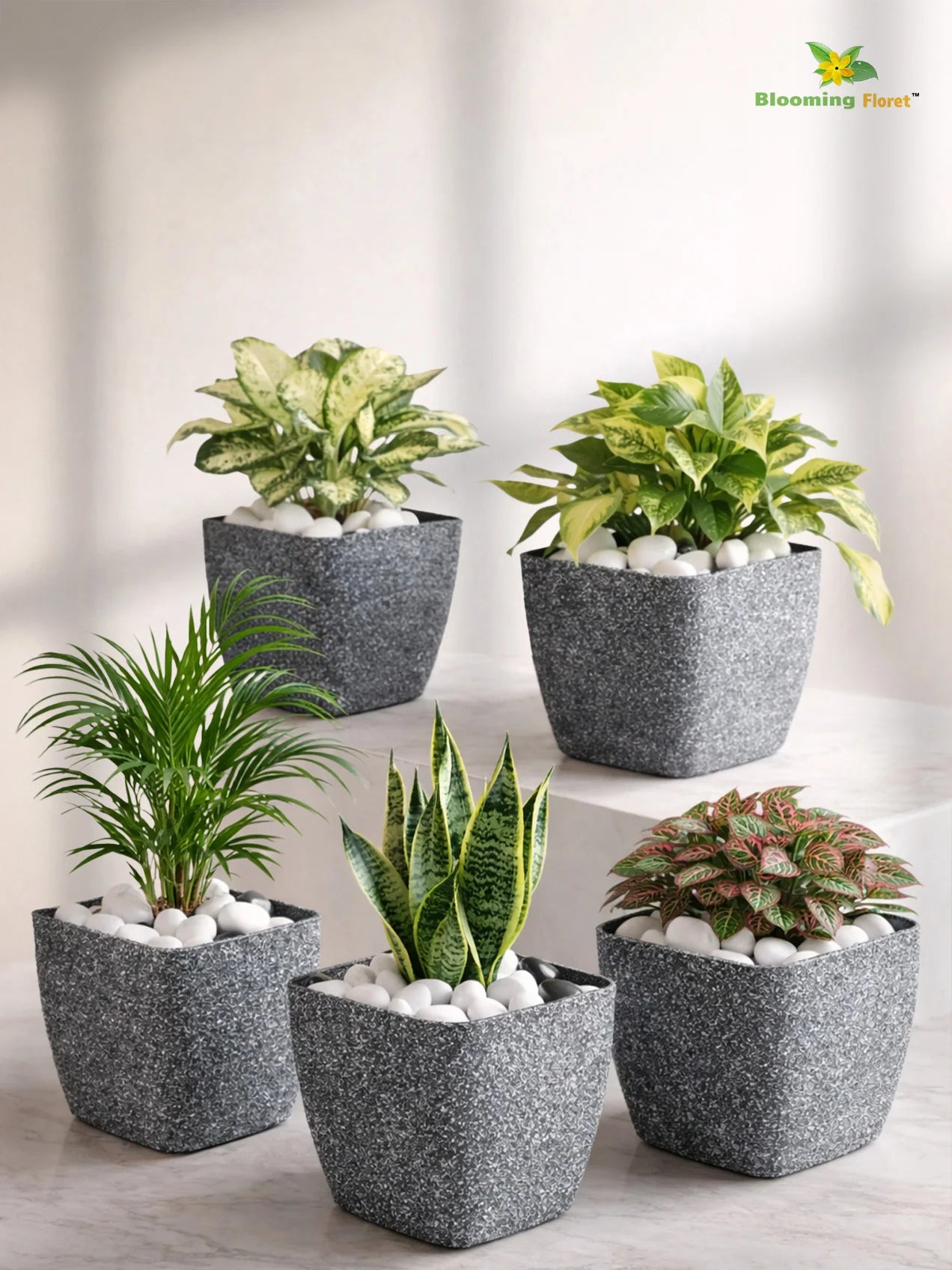 Coarse Textured Square Planter Pot | 10 cm | Set of 5