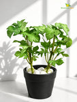 Artificial Mini Monstera Succulent | Light Green | 15 cm