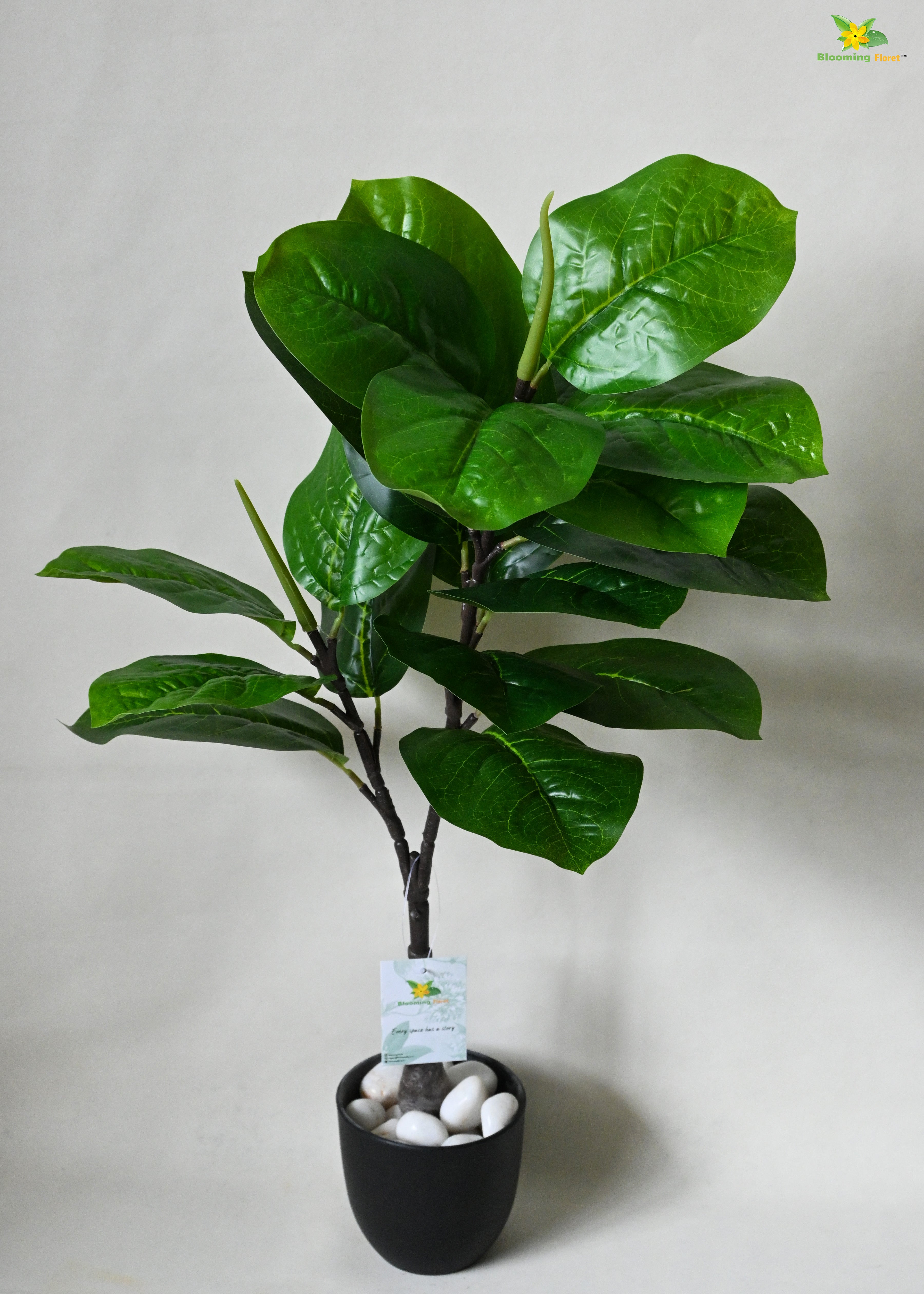 Artificial Wax Plant For Decor 18 Leaves with Basic Pot | 71.1 cm