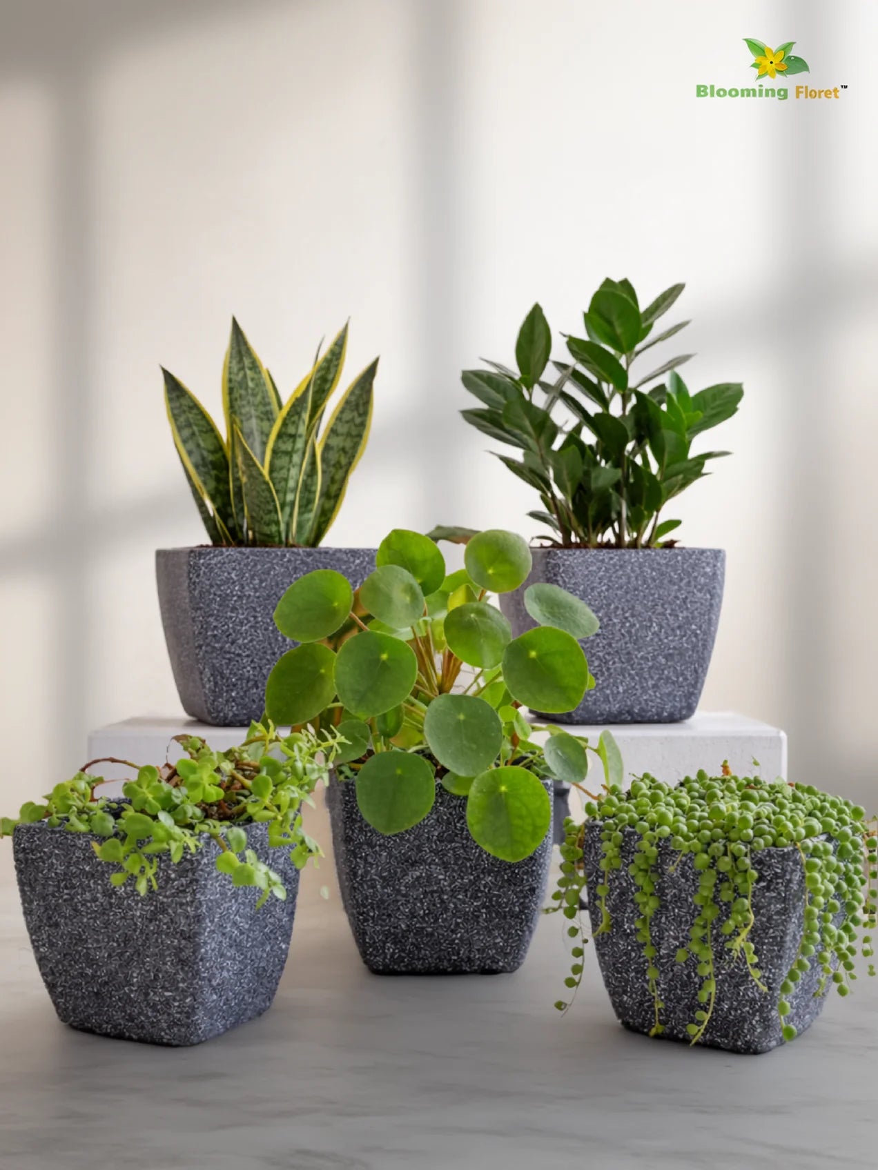 Coarse Textured Square Planter Pot | 15 cm | Set of 5