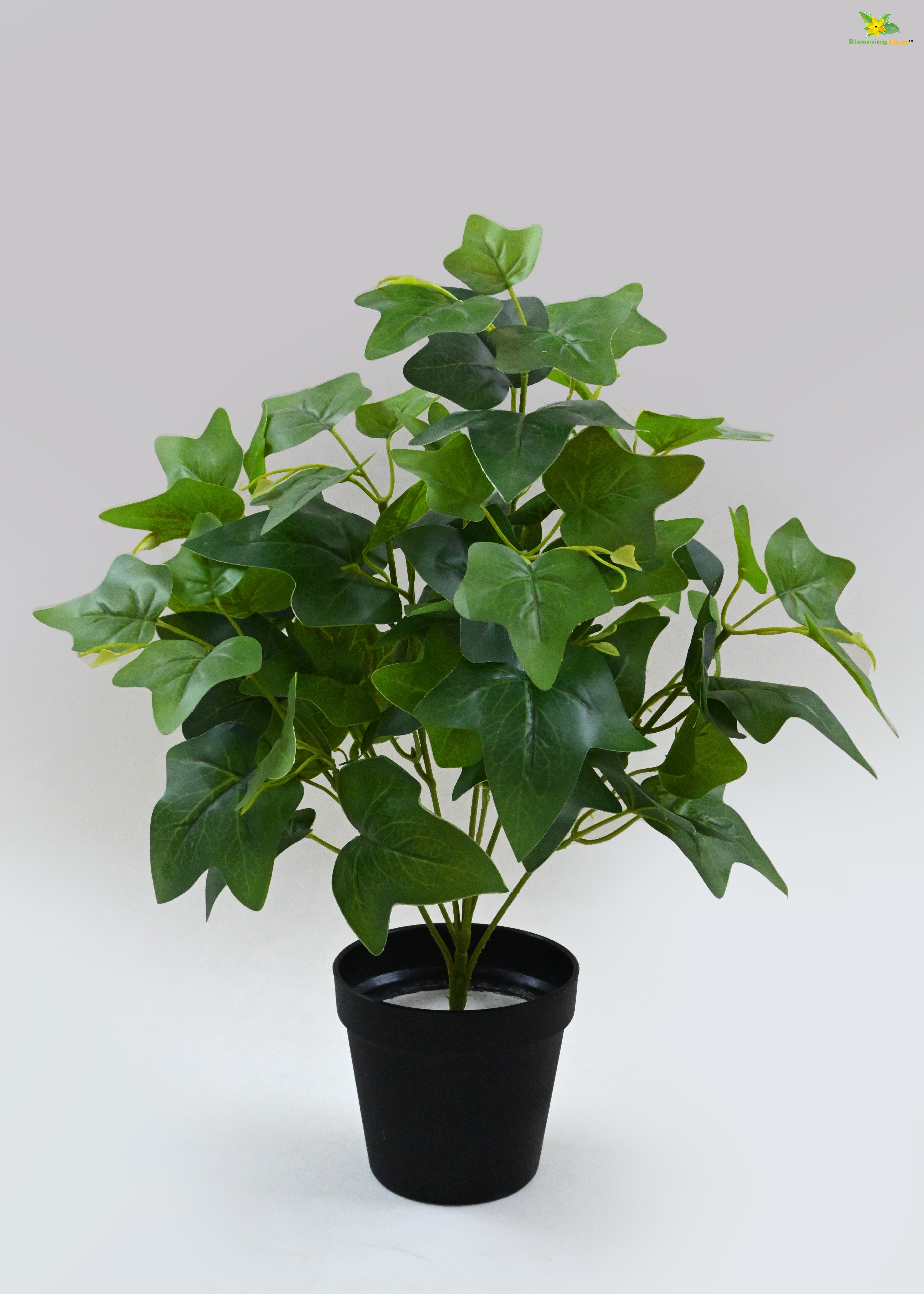 Artificial Japanese Ivy Plant for Decor | with Basic Pot | 48.3 cm