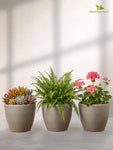 Decorative Pots | Light Brown | 15 cm | Set of 3