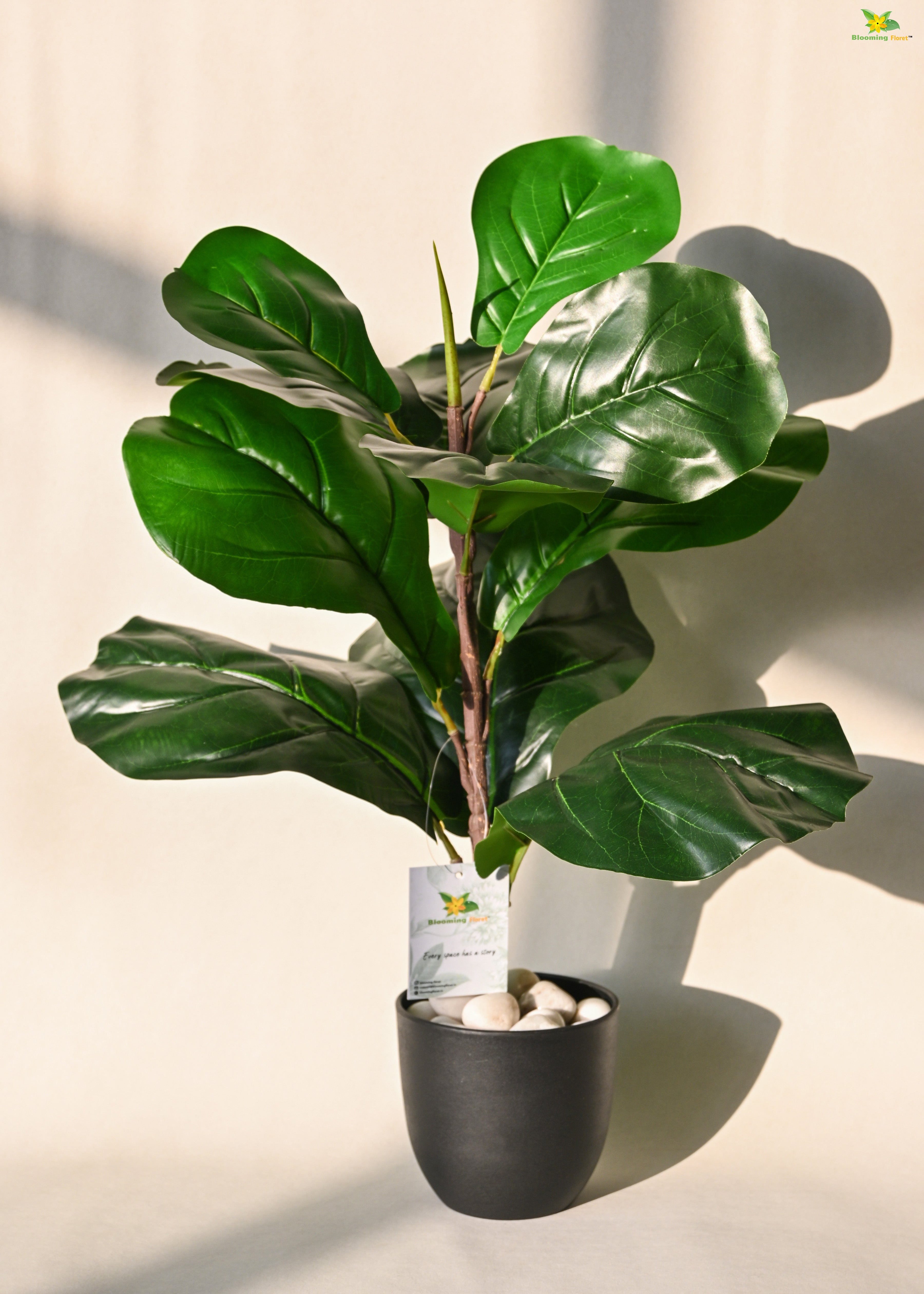 Artificial Fiddle-Leaf Fig Plant for Decor 11 Leaves with Basic Pot | 58.4 cm