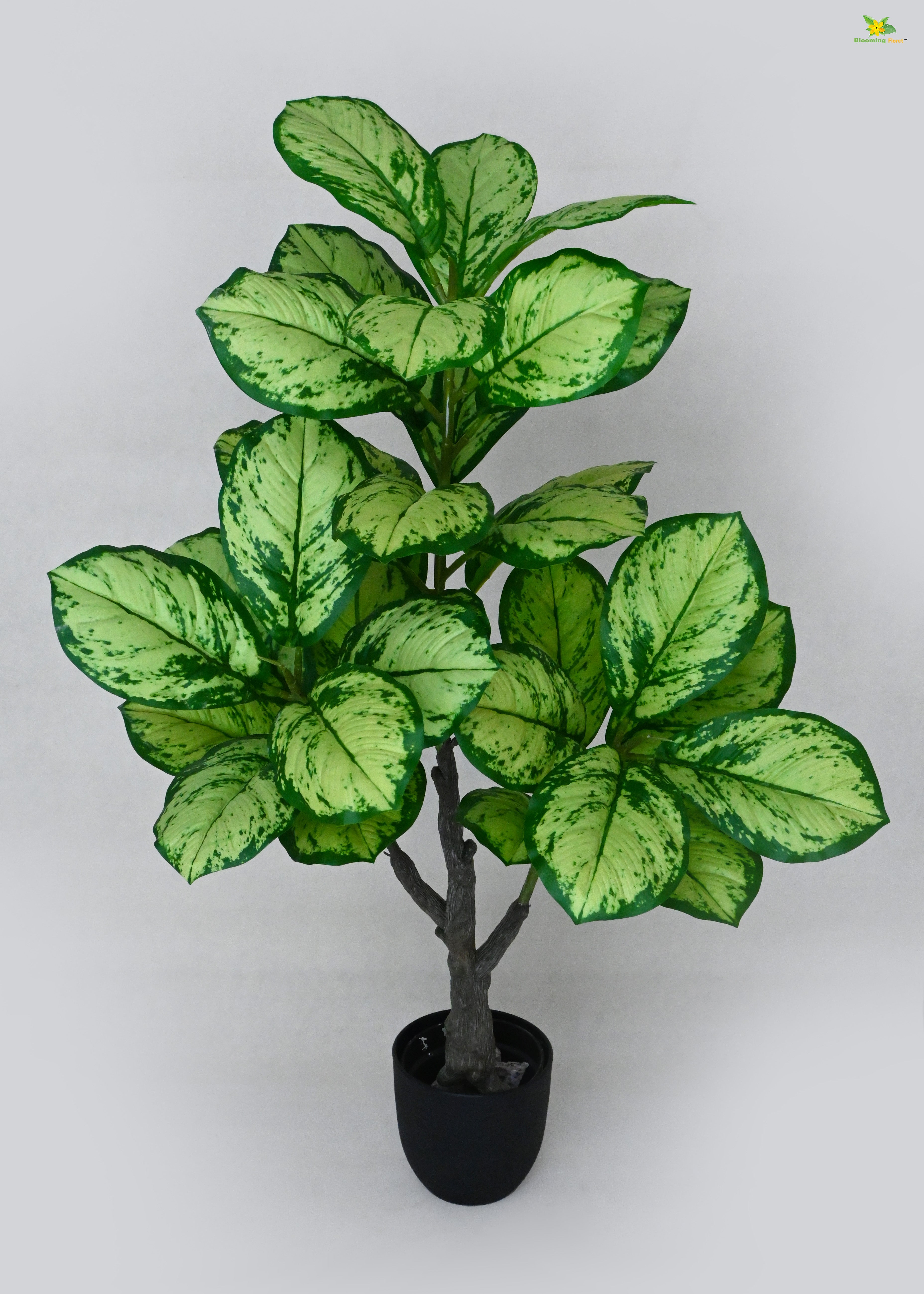 Artificial Dieffenbachia Honeydew Plant for Decor | 33 Leaves with Basic Pot | 95 cm