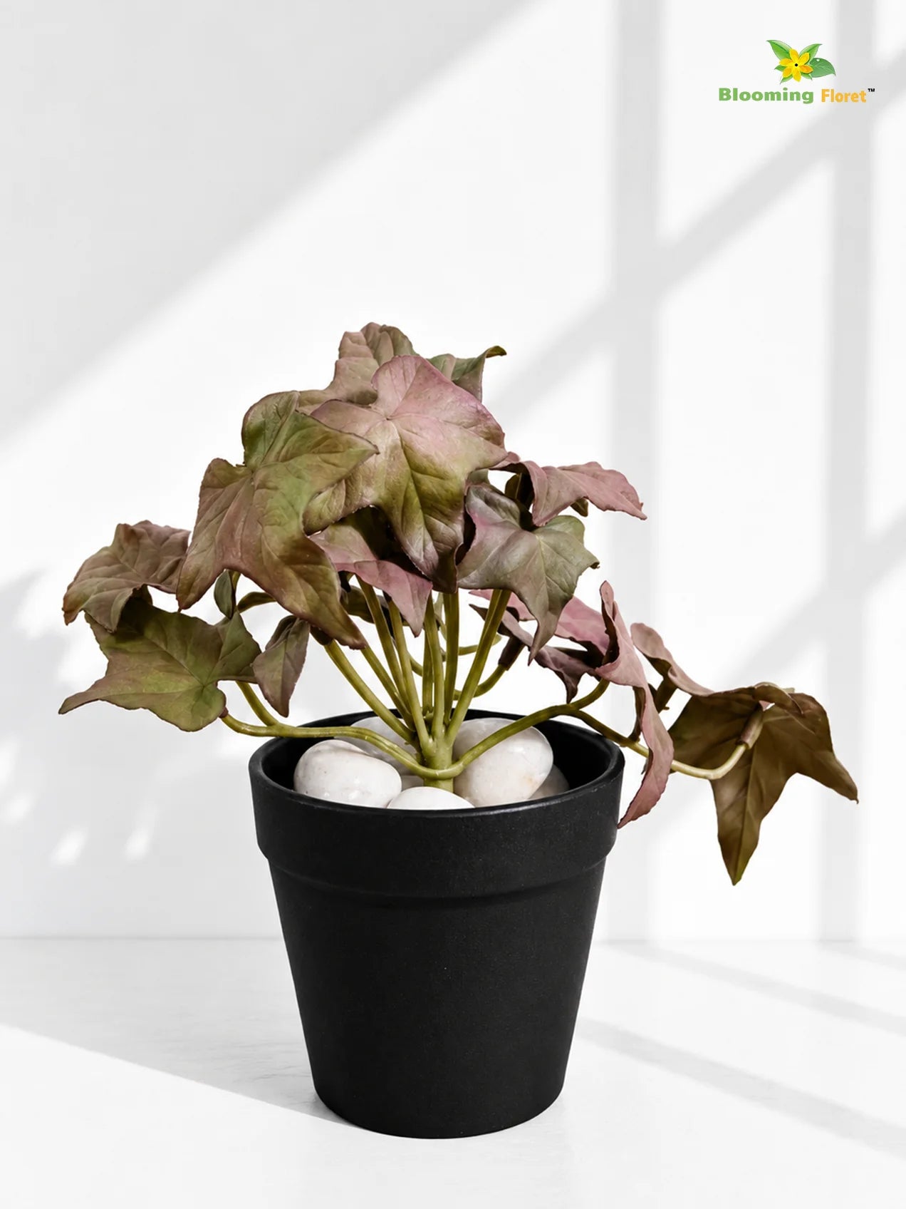 Artificial Ivy Succulent | Army Green | 10 cm