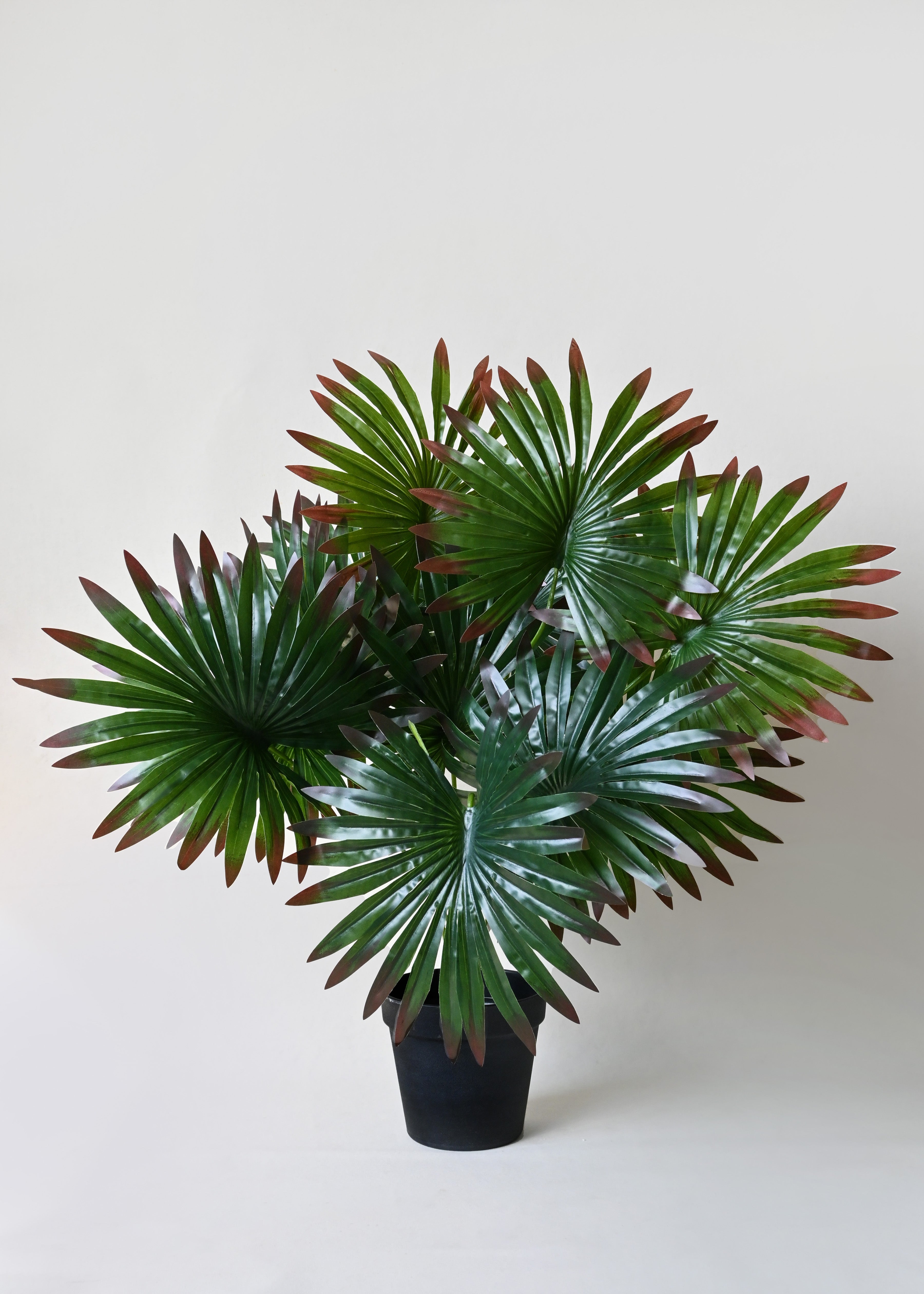 Artificial Fan Palm Plant for Decor | 12 Leaves with Basic Pot | 65 cm