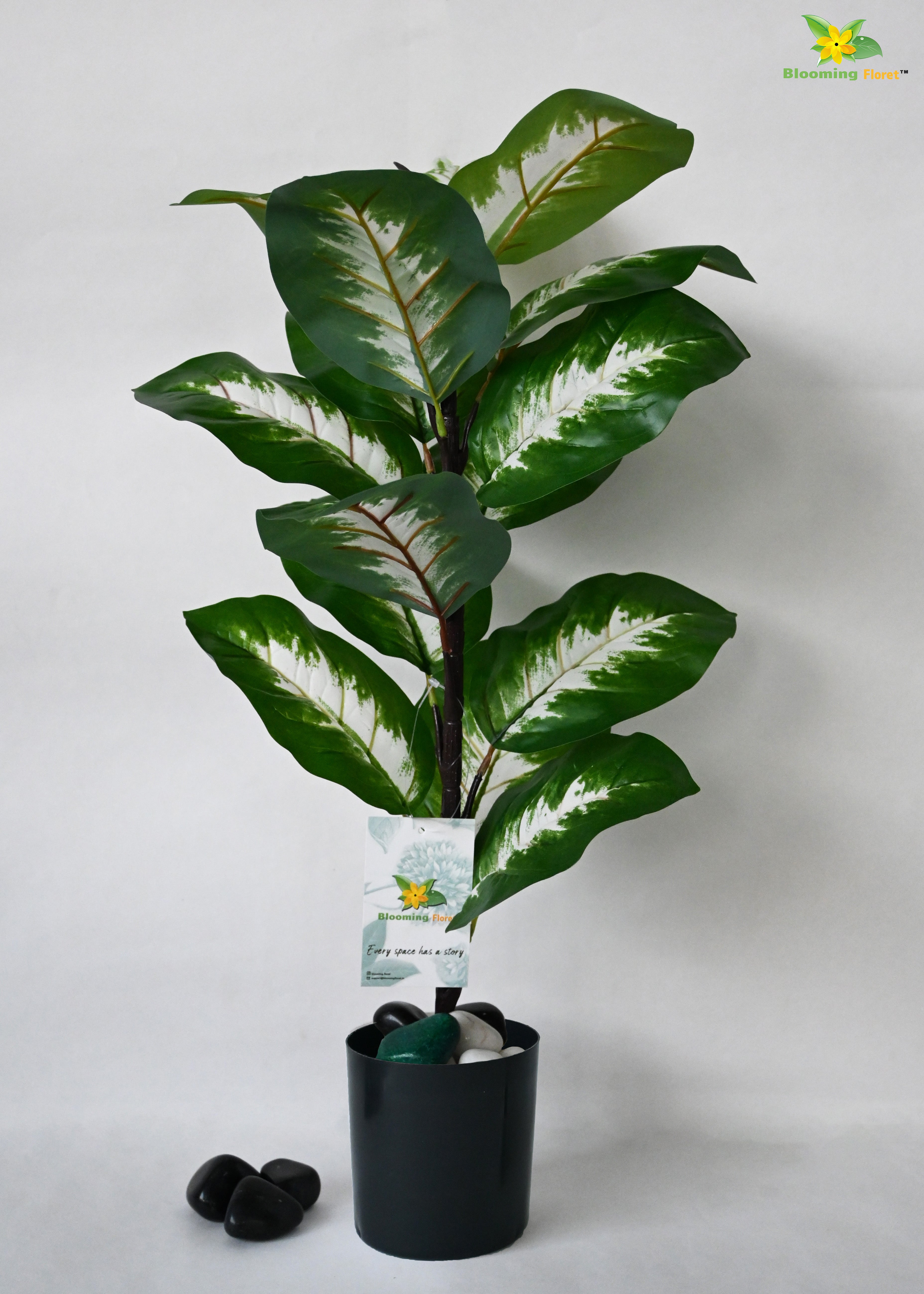 Artificial Dieffenbachia Camille Plant For Decor | 15 Leaves with Basic Pot | 60.9 cm