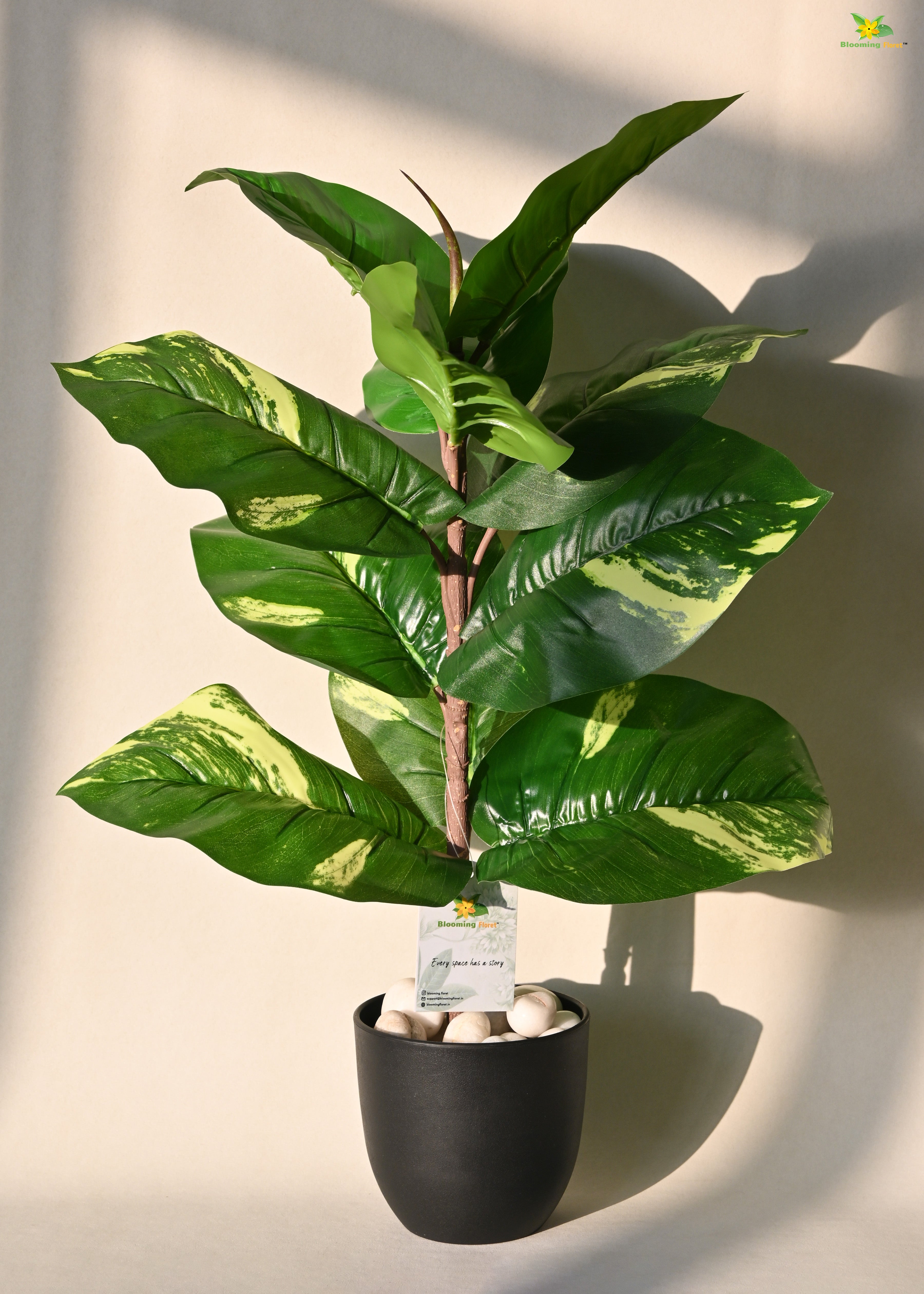 Artificial Dieffenbachia Plant for Decor 11 Leaves with Basic Pot | 58.4 cm