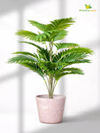 Modern Grace Poly Planter | Brown |15 cm