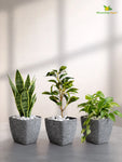 Coarse Textured Square Planter Pot | 10 cm | Set of 3