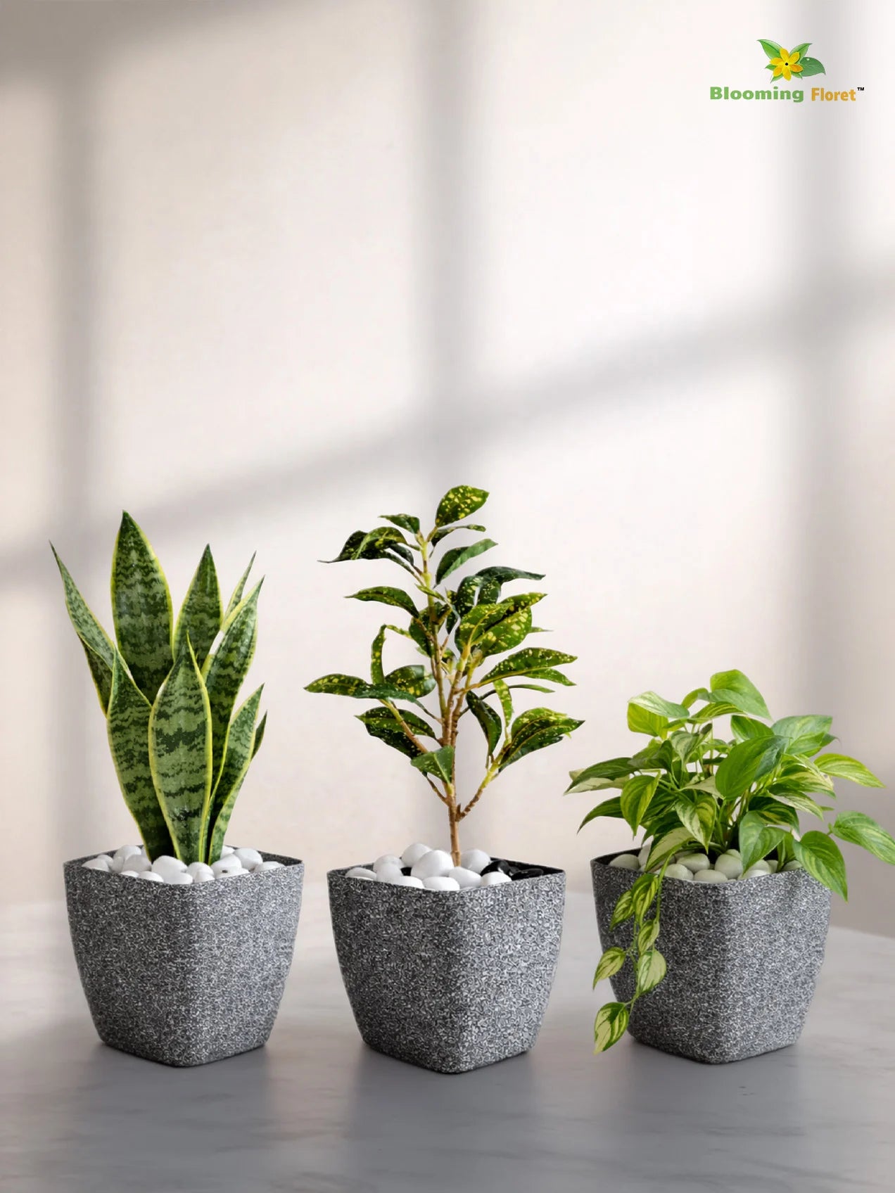 Coarse Textured Square Planter Pot | 10 cm | Set of 3