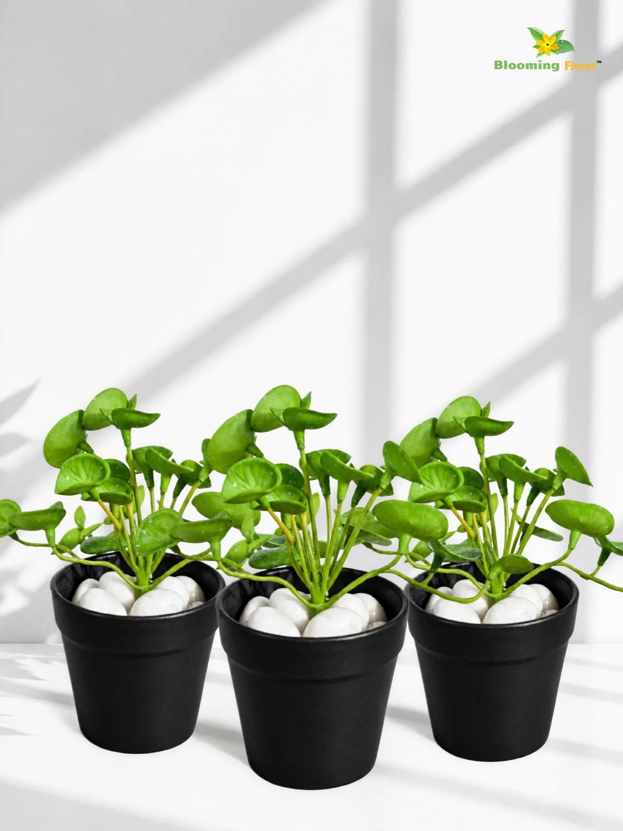 Lush Leaf Pennywort Artificial Succulent | Light Green & White Patterned | 14 cm | Set of 3