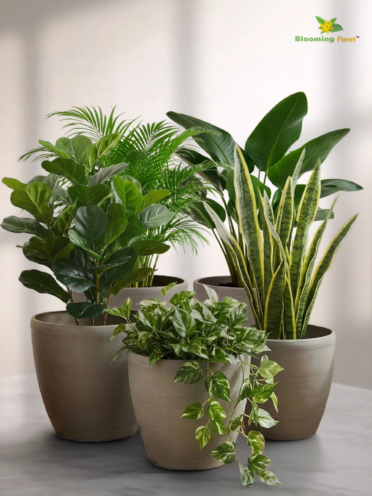 Decorative Pots | Light Brown | 17 cm | Set of 5