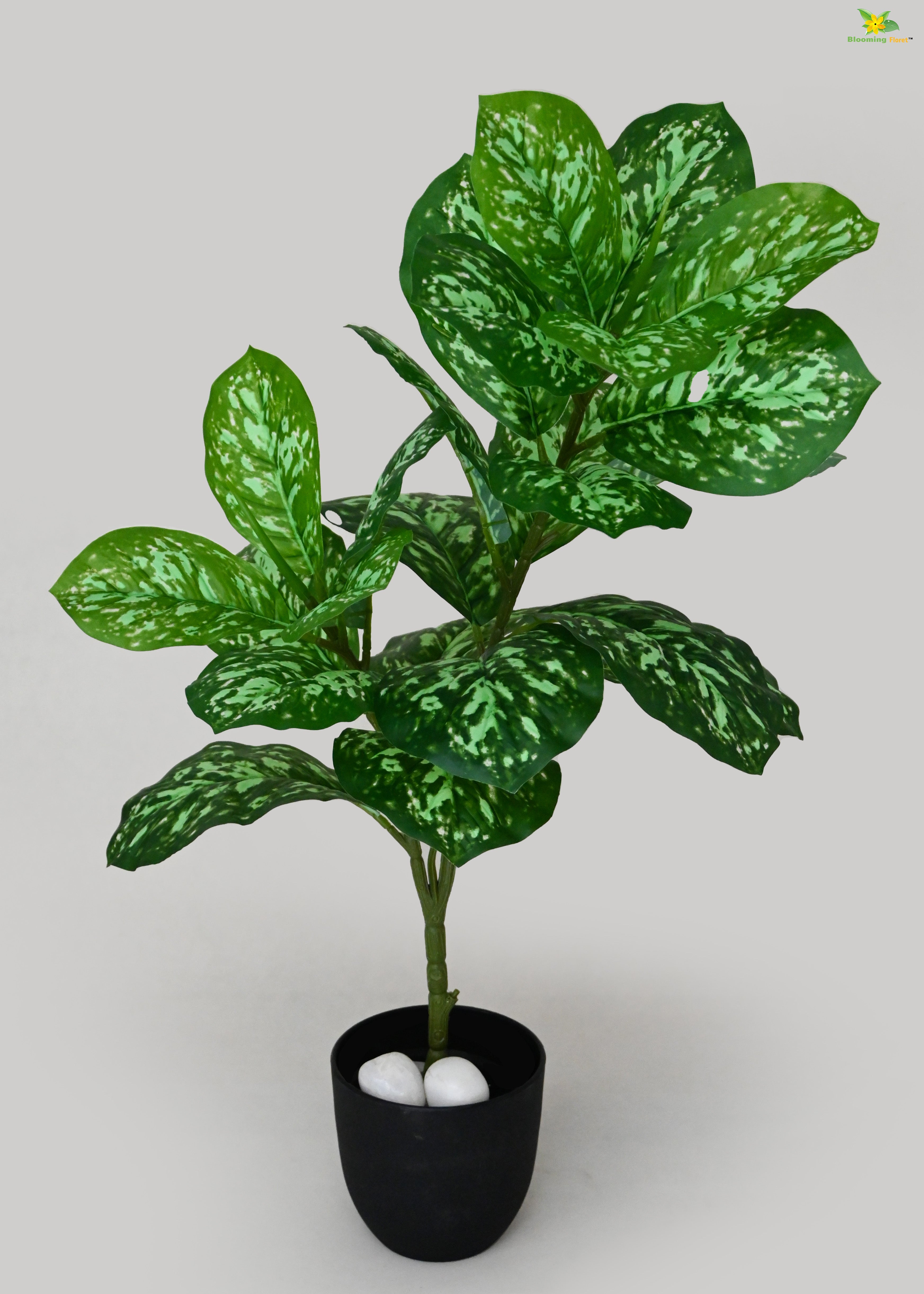 Artificial Aglaonema Plant for Decor | 24 Leaves with Basic Pot | 74.9 cm