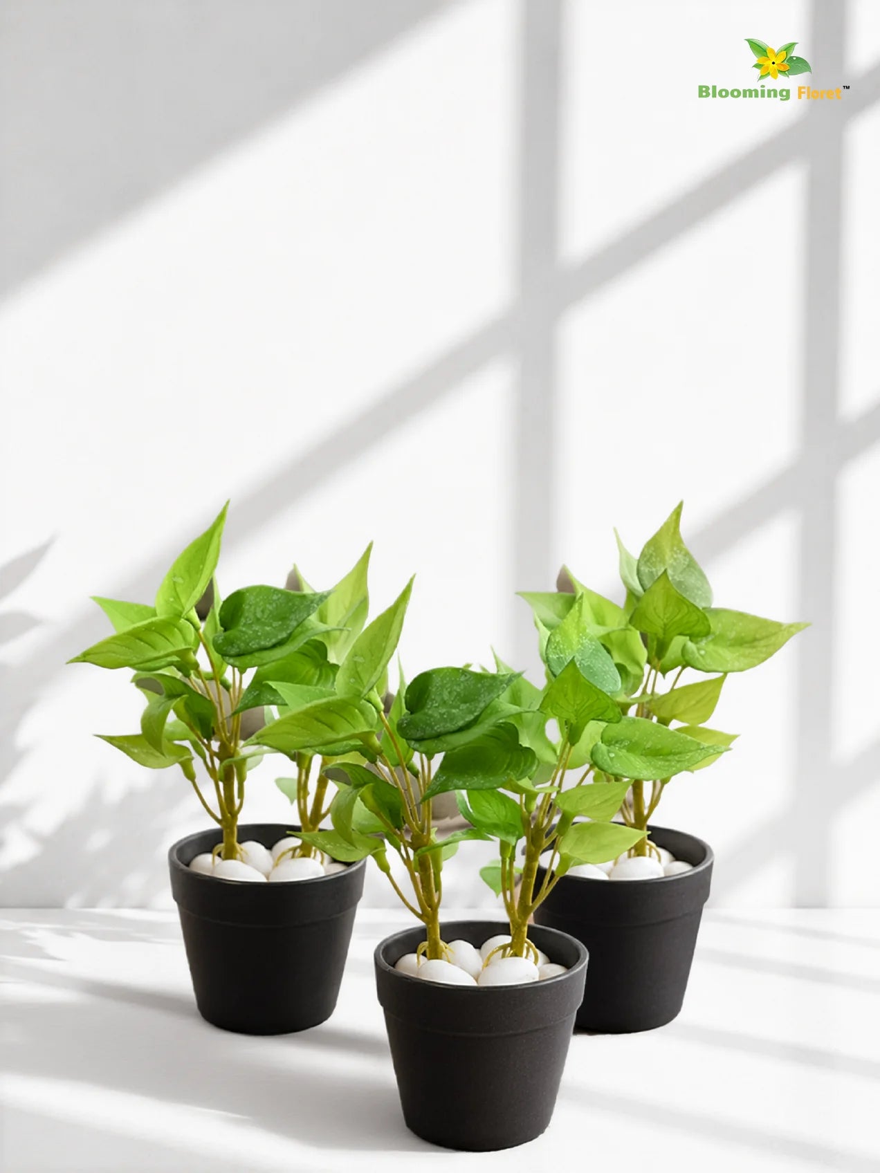 Artificial Money Plant Succulent | Light Green | 15 cm | Set of 3