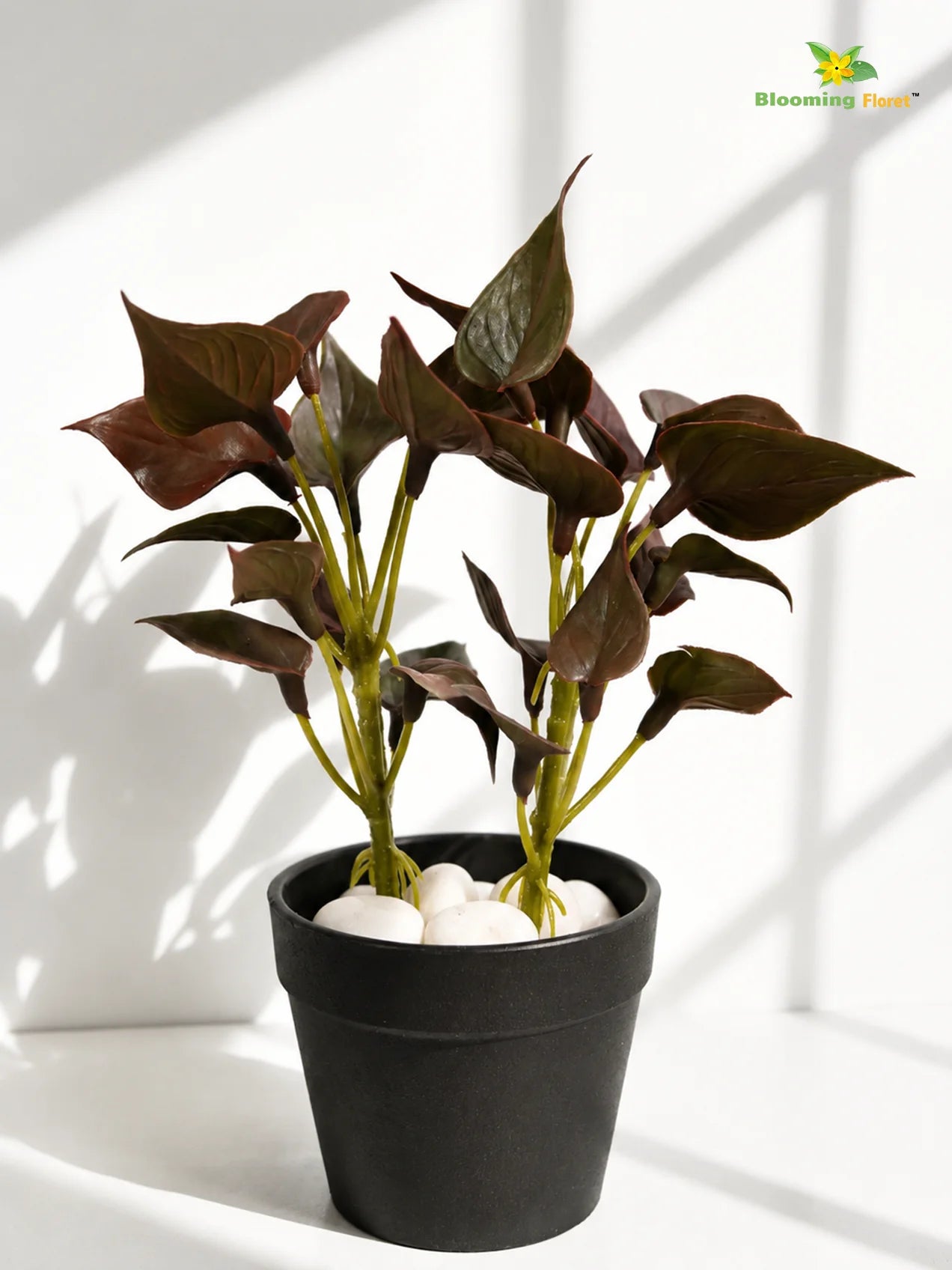 Artificial Money Plant Succulent | Maroon | 15 cm