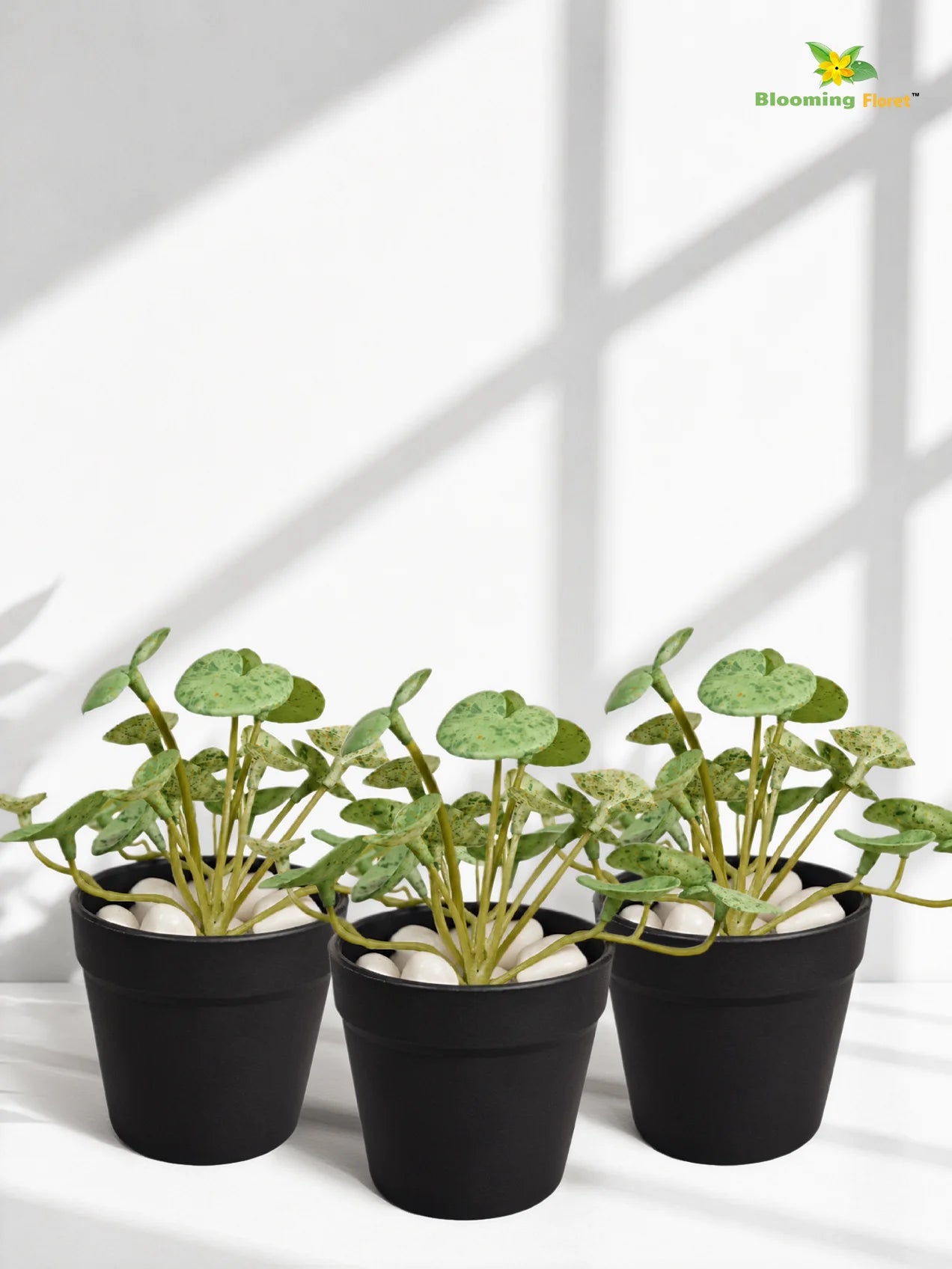 Lush Leaf Pennywort Artificial Succulent | Mixed Green Patterned | 14 cm | Set of 3