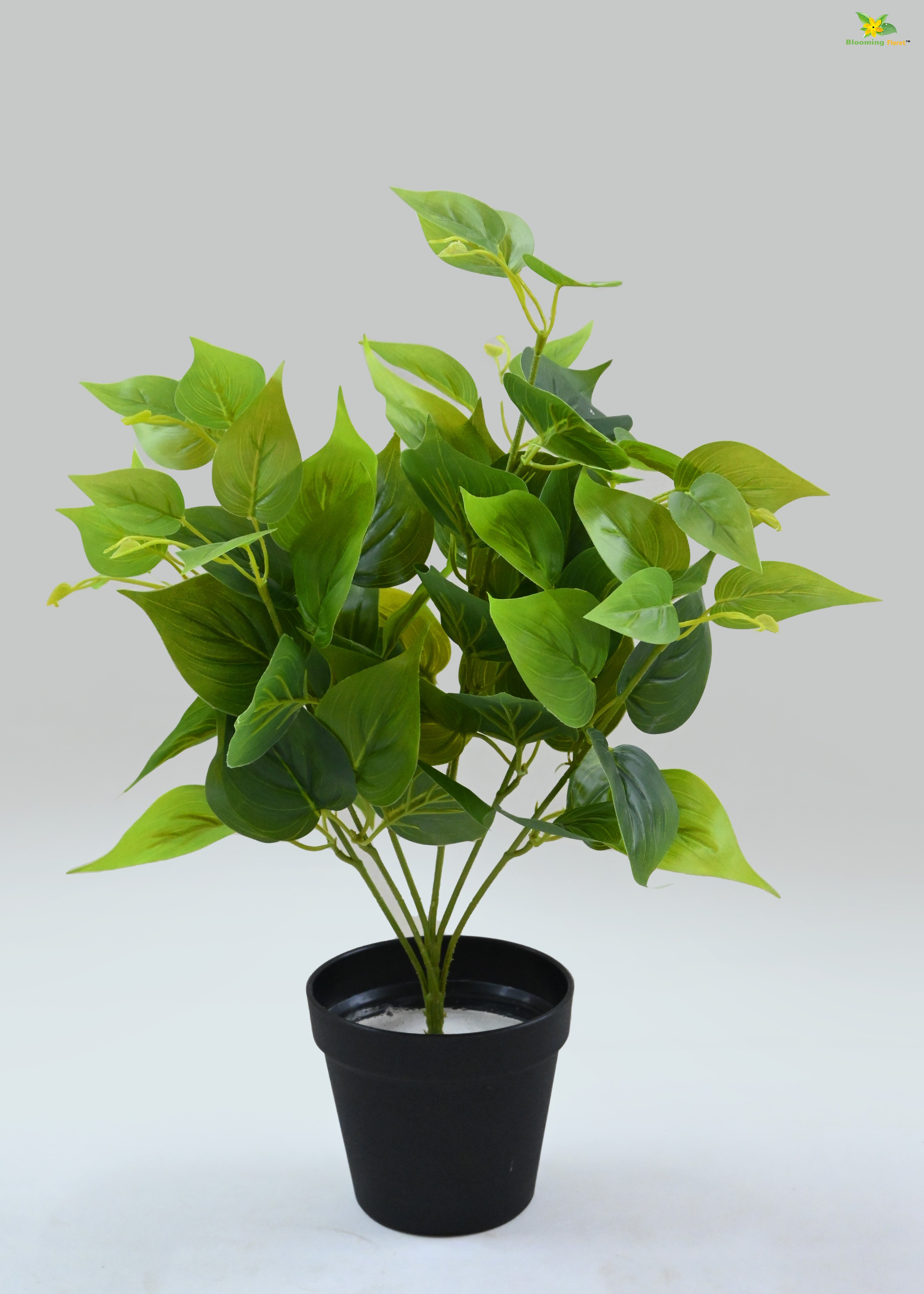 Artificial Jade Pothos for Decor | with Basic Pot | 48.3 cm