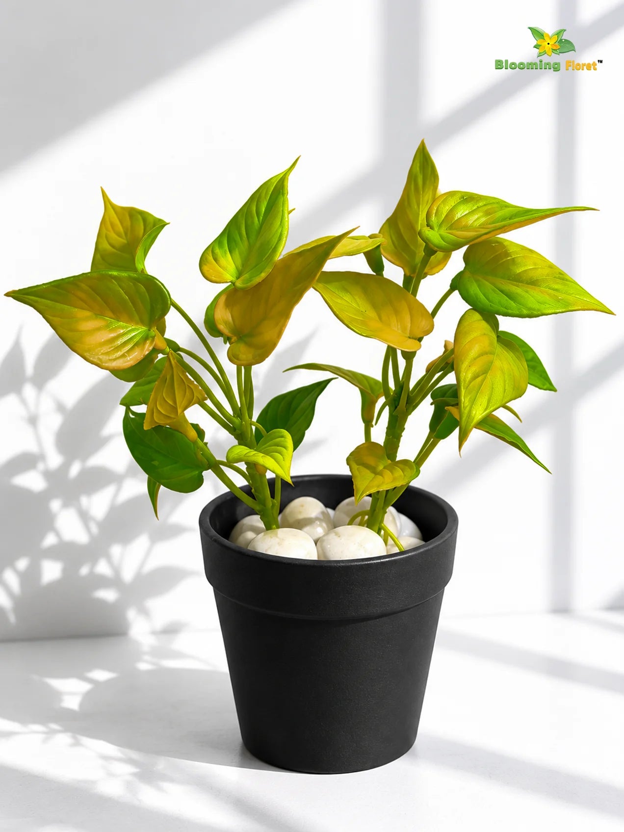 Artificial Money Plant Succulent | Army Green | 15 cm