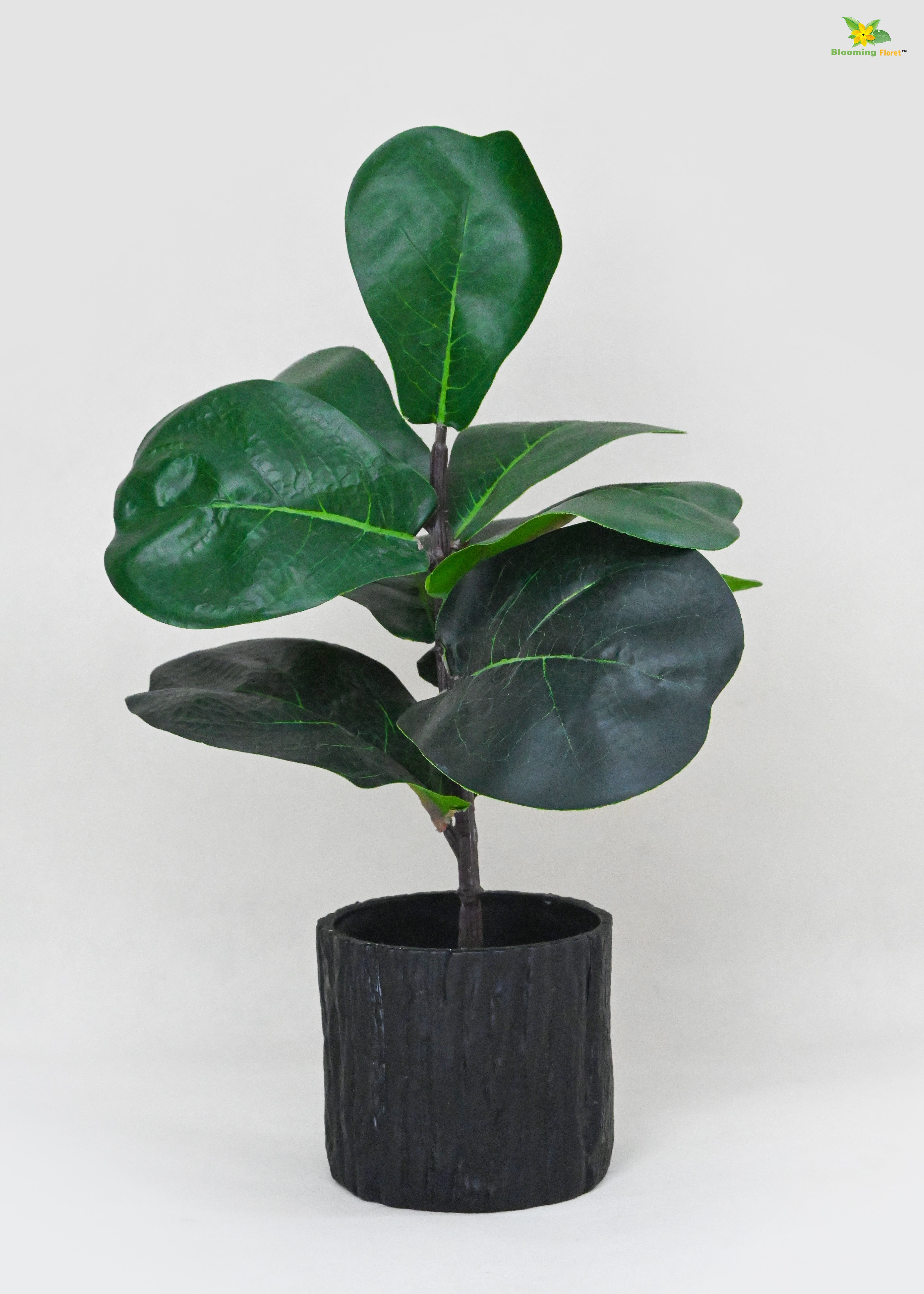 Artificial Fiddle-Leaf Fig Plant for Decor | 9 Leaves with Basic Pot | 27.9 cm