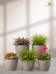 Decorative Pots | Light Brown | 15 cm | Set of 5