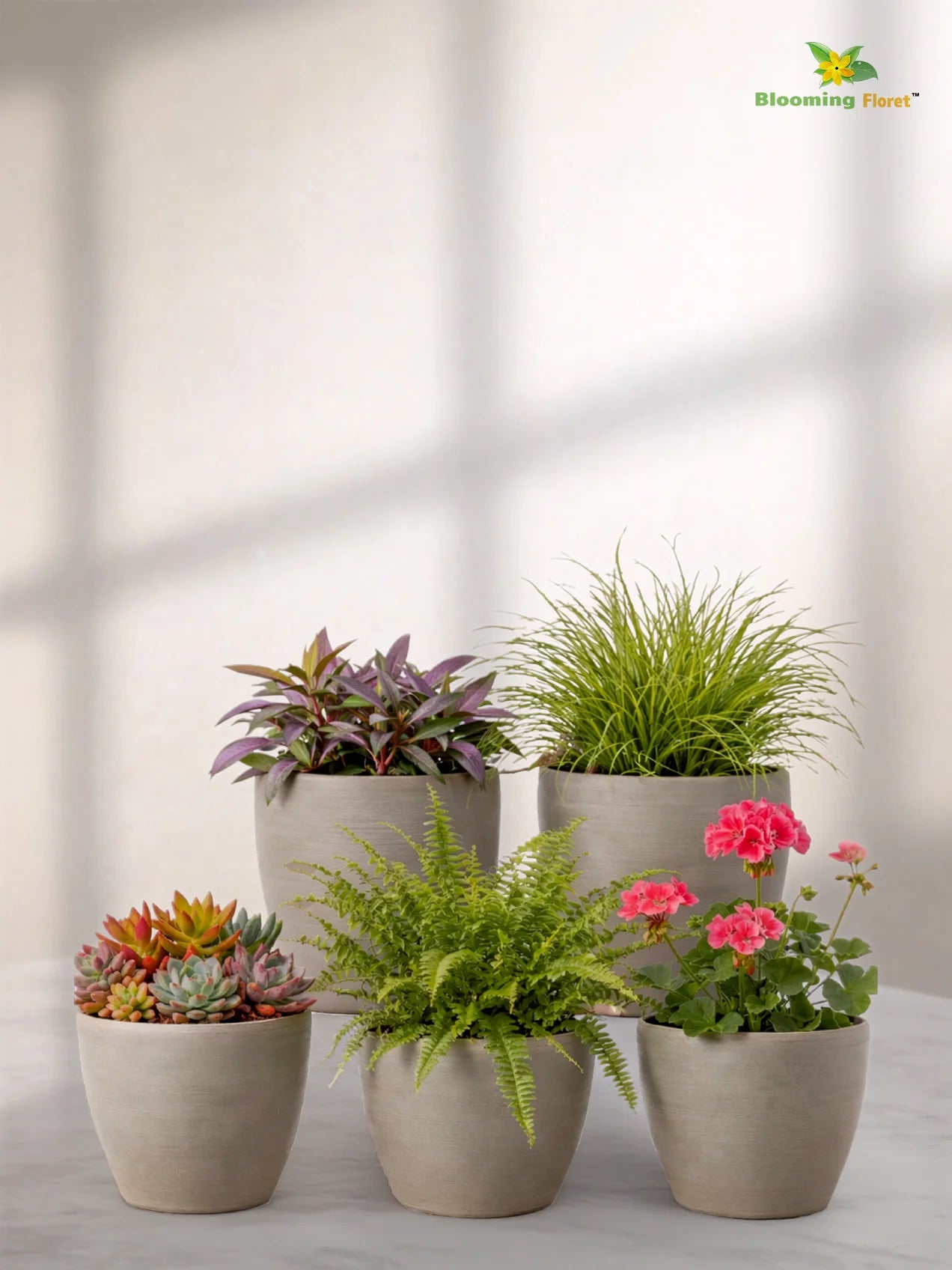 Decorative Pots | Light Brown | 15 cm | Set of 5