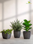 Coarse Textured Square Planter Pot | 13 cm | Set of 3